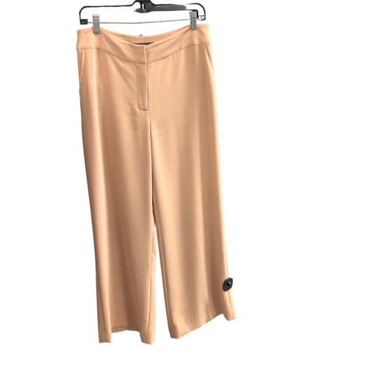 Nude Pants Work/dress Chicos, Size S