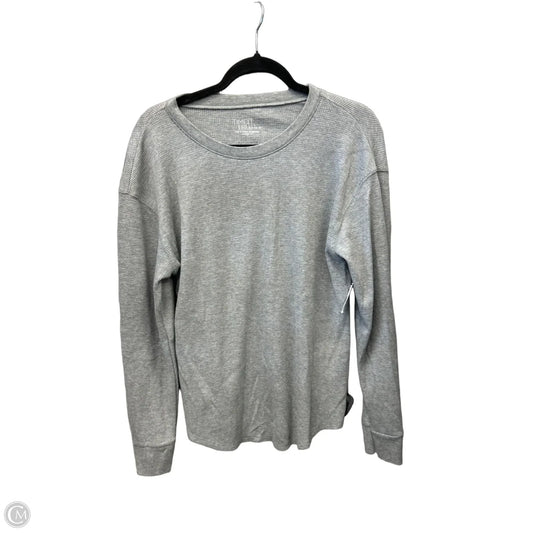 Top Long Sleeve By Time And Tru In Grey, Size: L