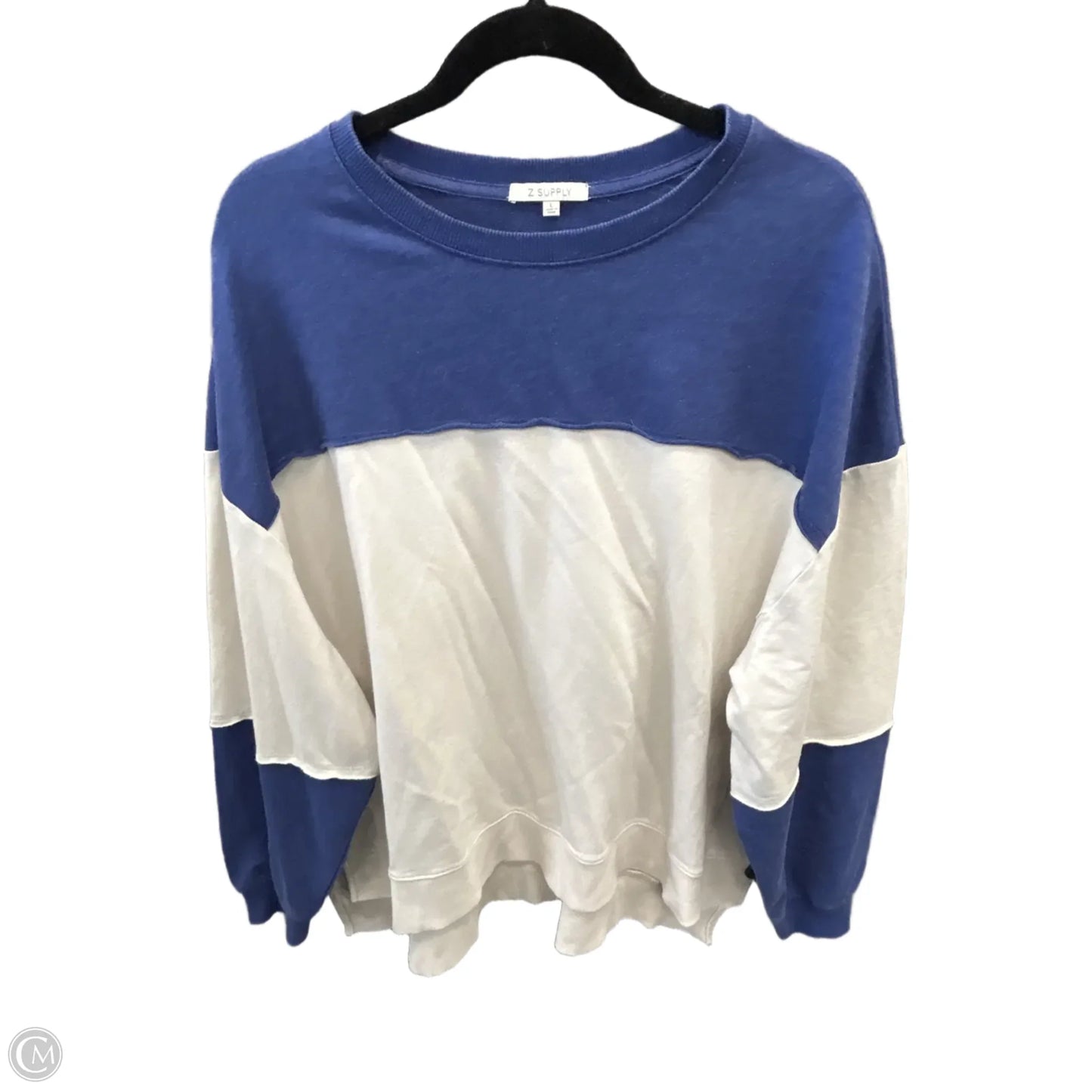 Top Long Sleeve By Z Supply In Blue & Cream, Size: L