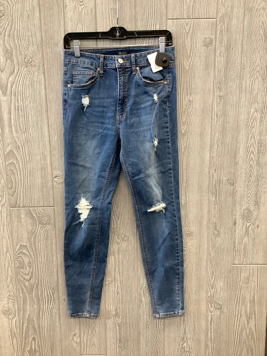 Blue Denim Jeans Skinny Wild Fable, Size 8