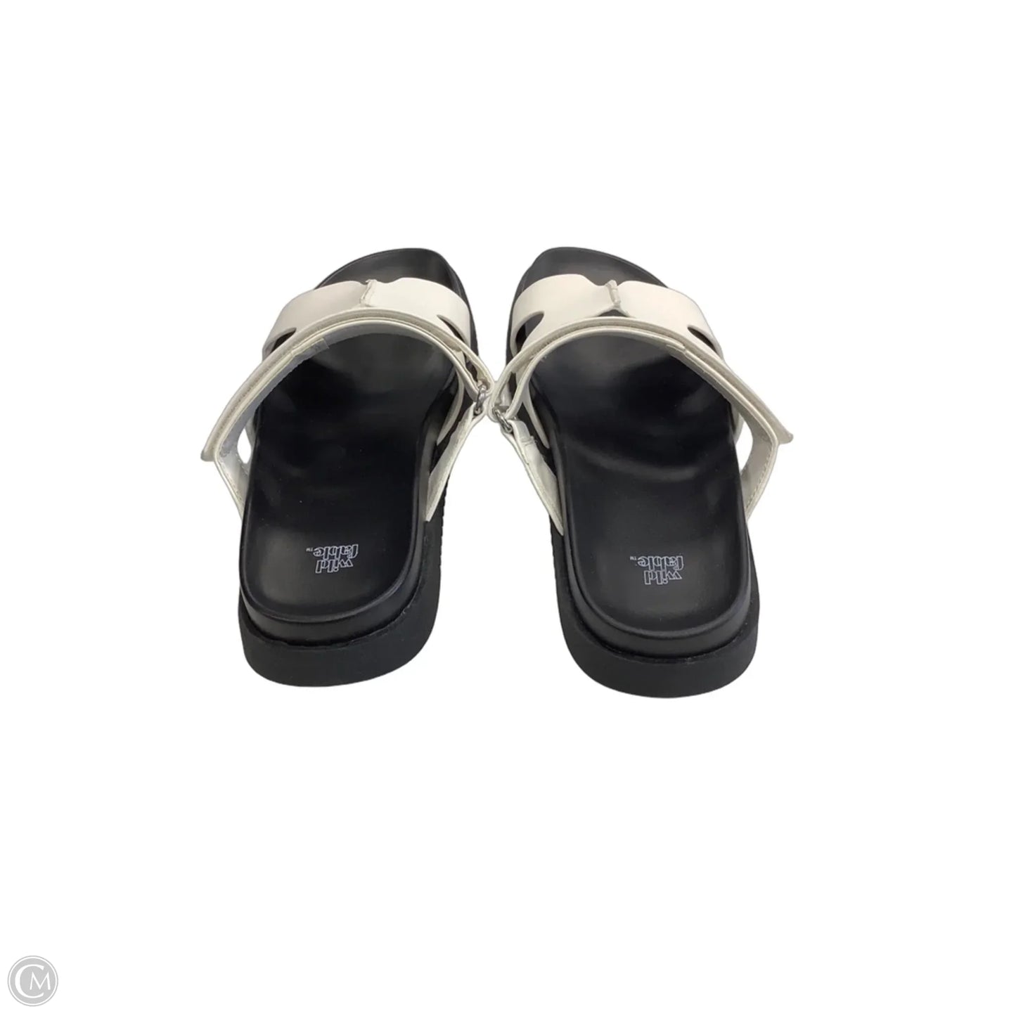 Sandals Flats By Wild Fable In White, Size: 9