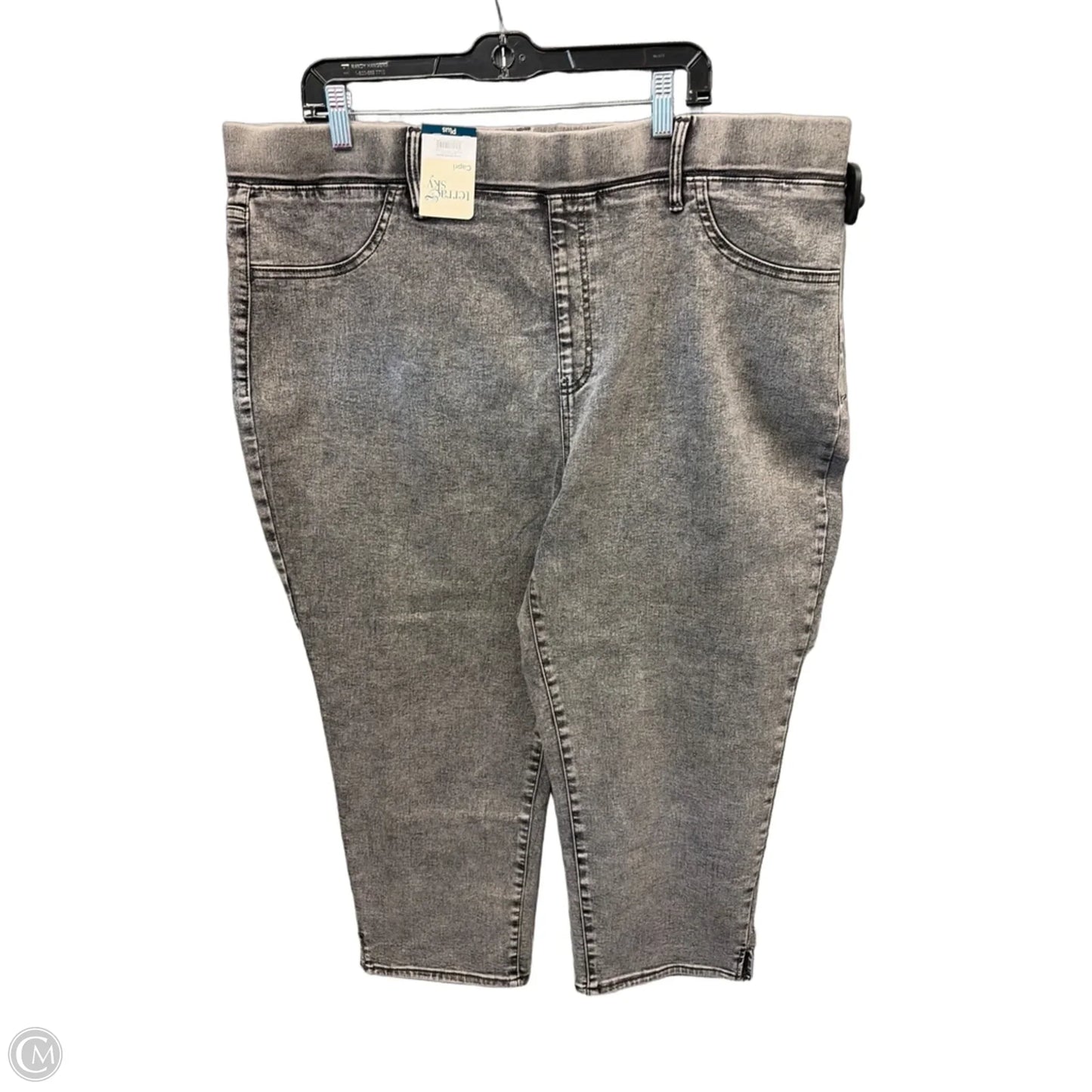 Jeans Skinny By Terra & Sky In Grey, Size: 20
