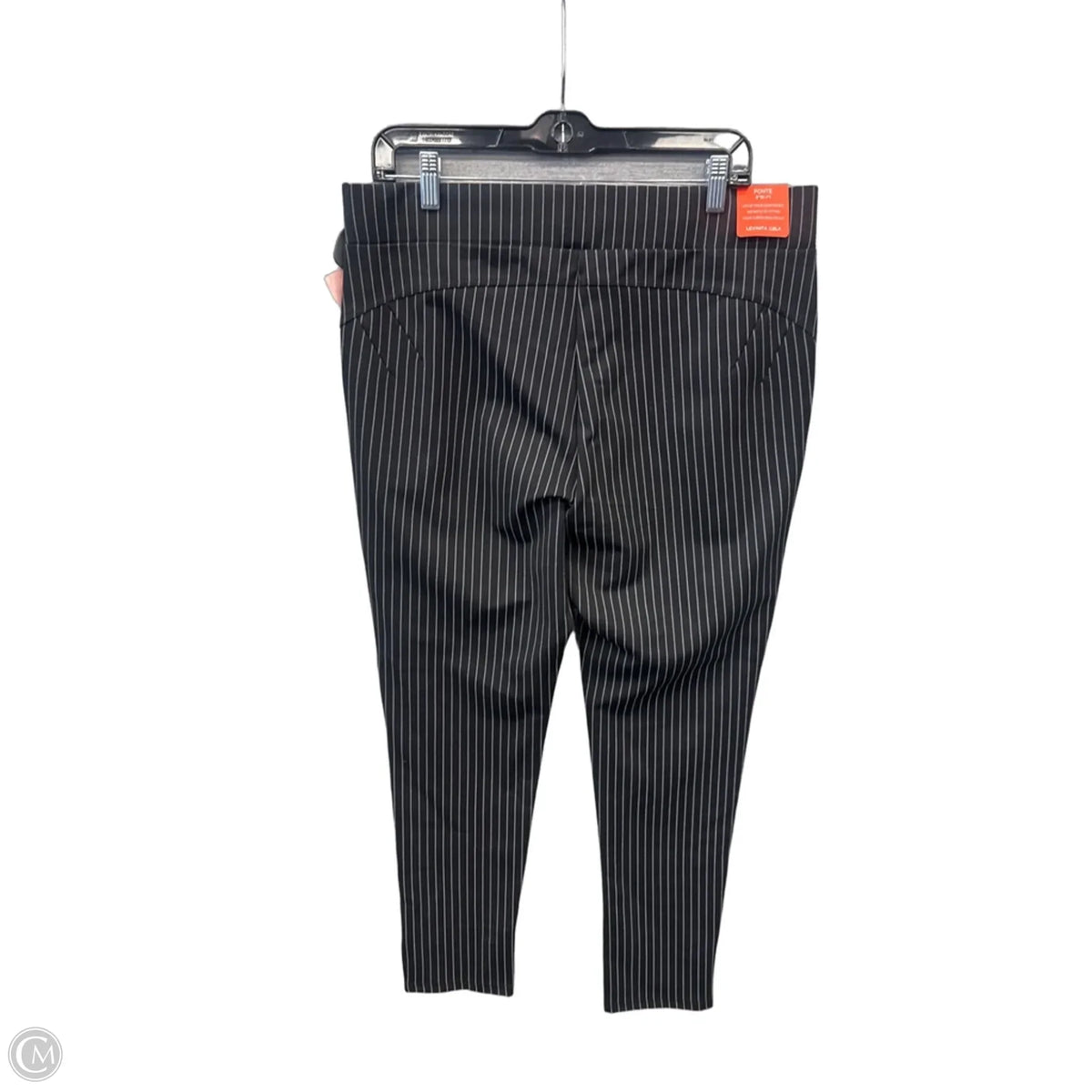 Pants Leggings By Maze In Striped Pattern, Size: 20