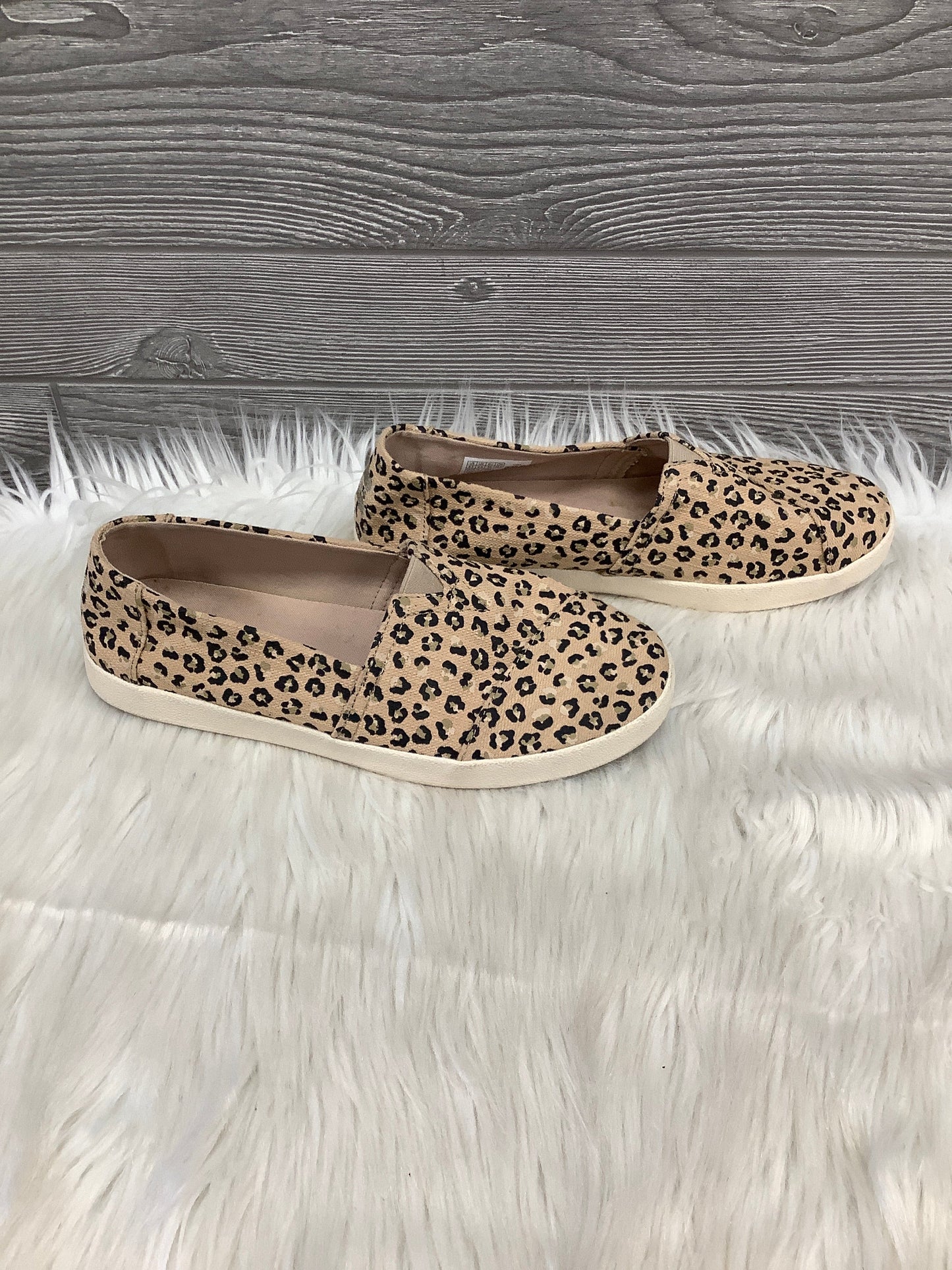 Shoes Flats By Toms In Animal Print, Size: 8.5