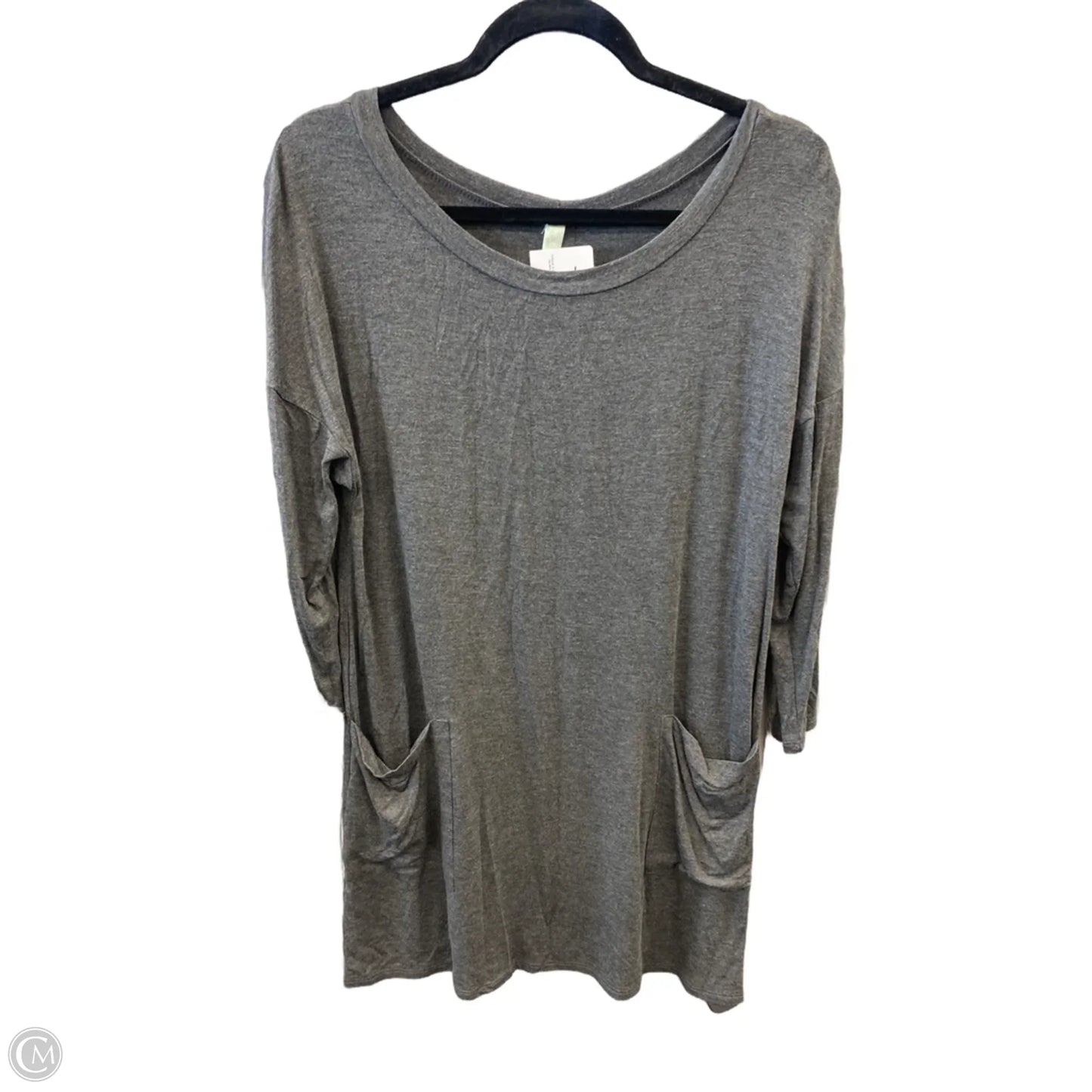 Tunic Long Sleeve By Emerald In Grey, Size: L