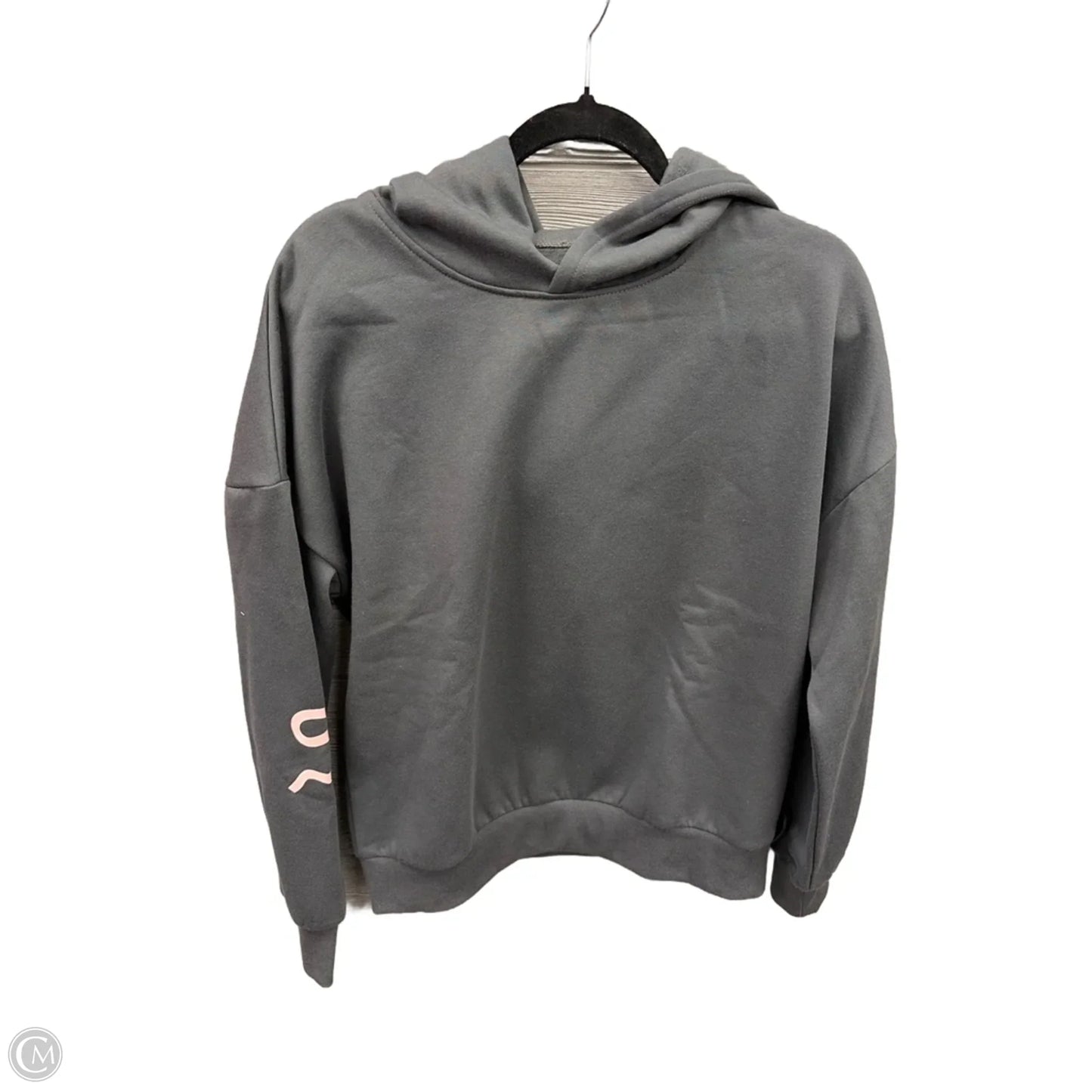 Sweatshirt Hoodie By Cmf In Grey, Size: M
