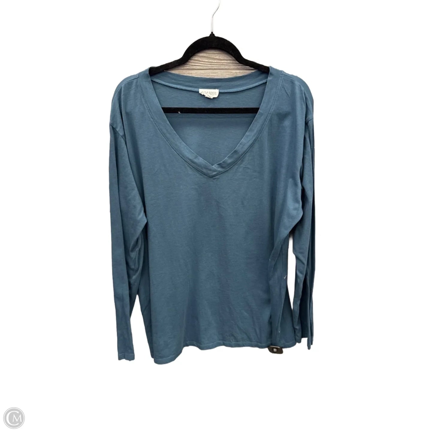 Top Long Sleeve Basic By Clothes Mentor In Blue, Size: 2x