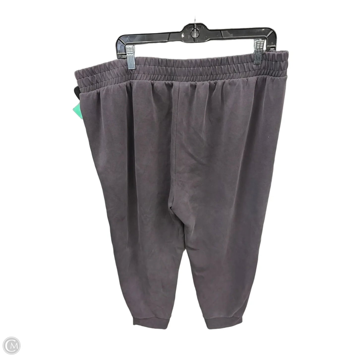 Athletic Pants By Avia In Grey, Size: Xxl