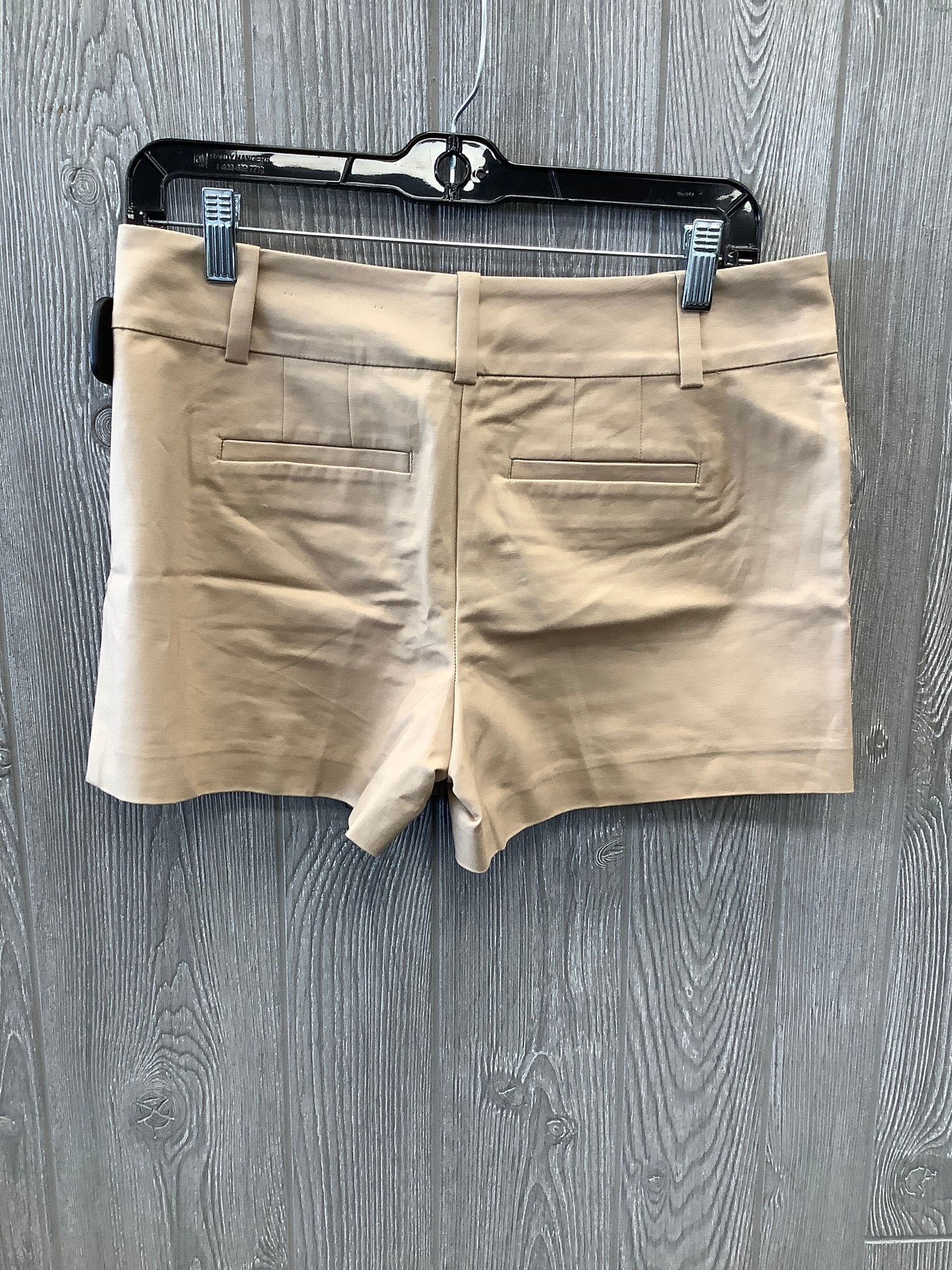 Tan Shorts Ann Taylor, Size 6petite