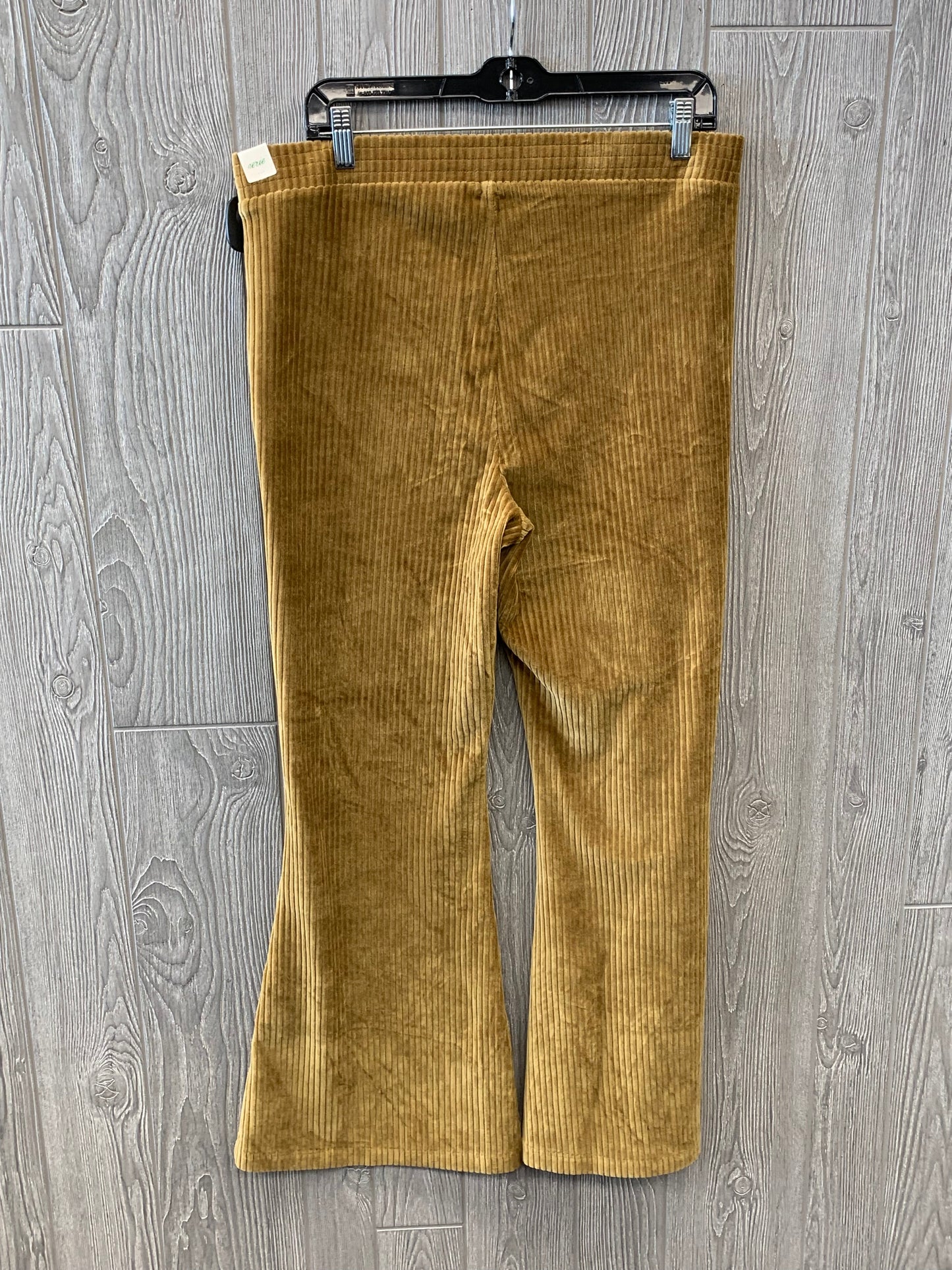 Gold Pants Lounge Aerie, Size 14