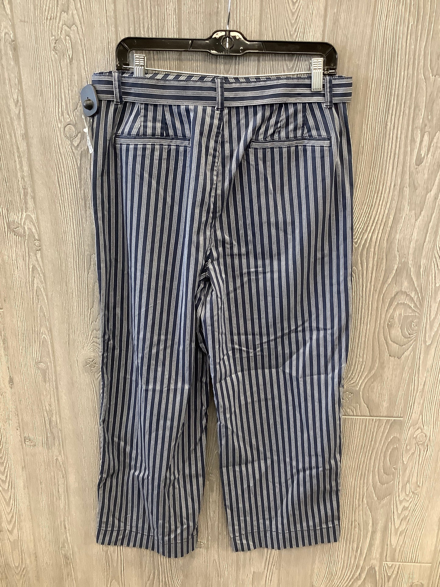 Pants Other By Time And Tru In Blue, Size: 12