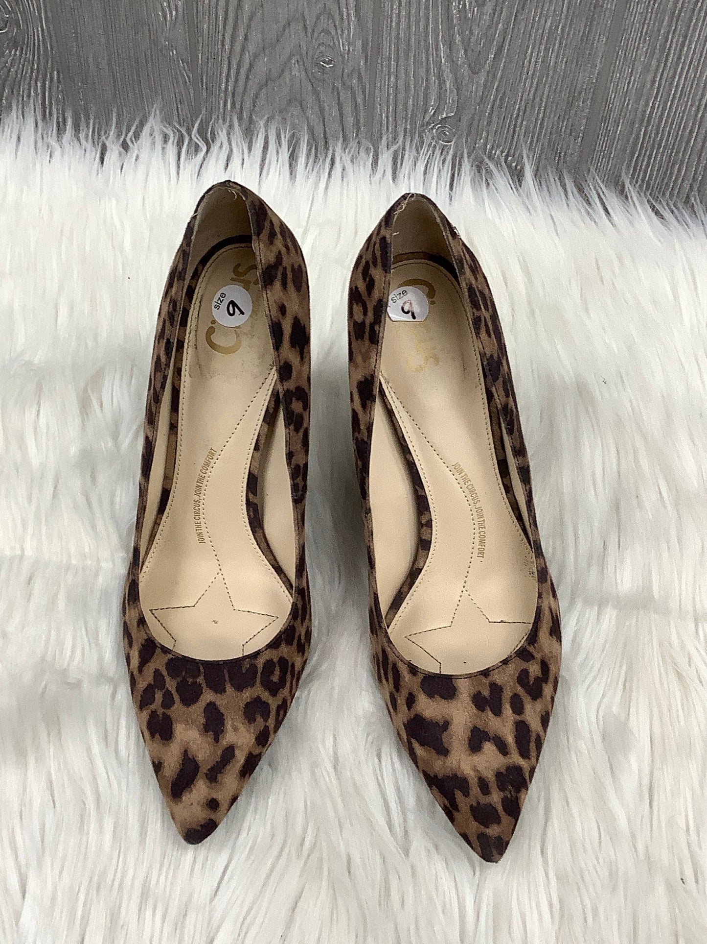 Shoes Heels Stiletto By Circus By Sam Edelman In Animal Print, Size: 9