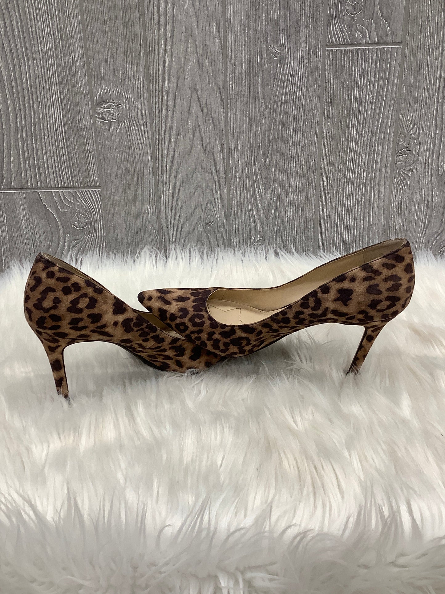 Shoes Heels Stiletto By Circus By Sam Edelman In Animal Print, Size: 9