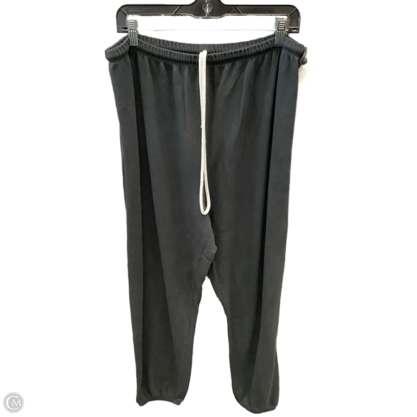 Athletic Pants By Aerie In Black, Size: L