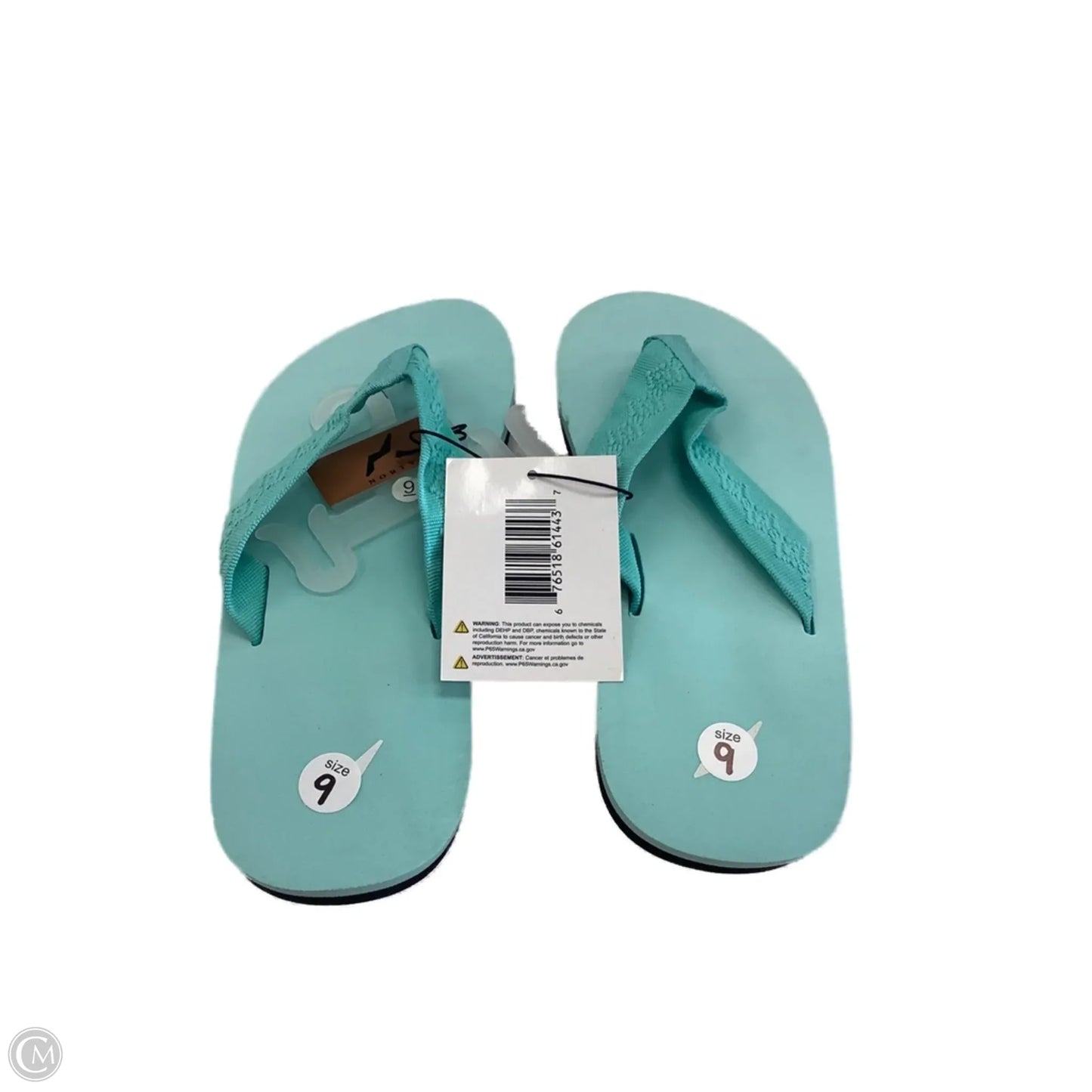 Sandals Flip Flops By Clothes Mentor In Blue, Size: 9
