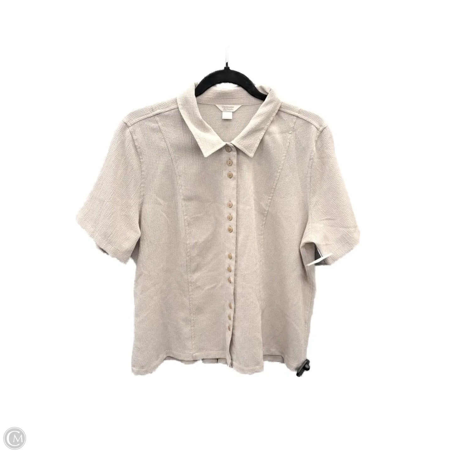 Top Short Sleeve By Christopher And Banks In Beige, Size: L