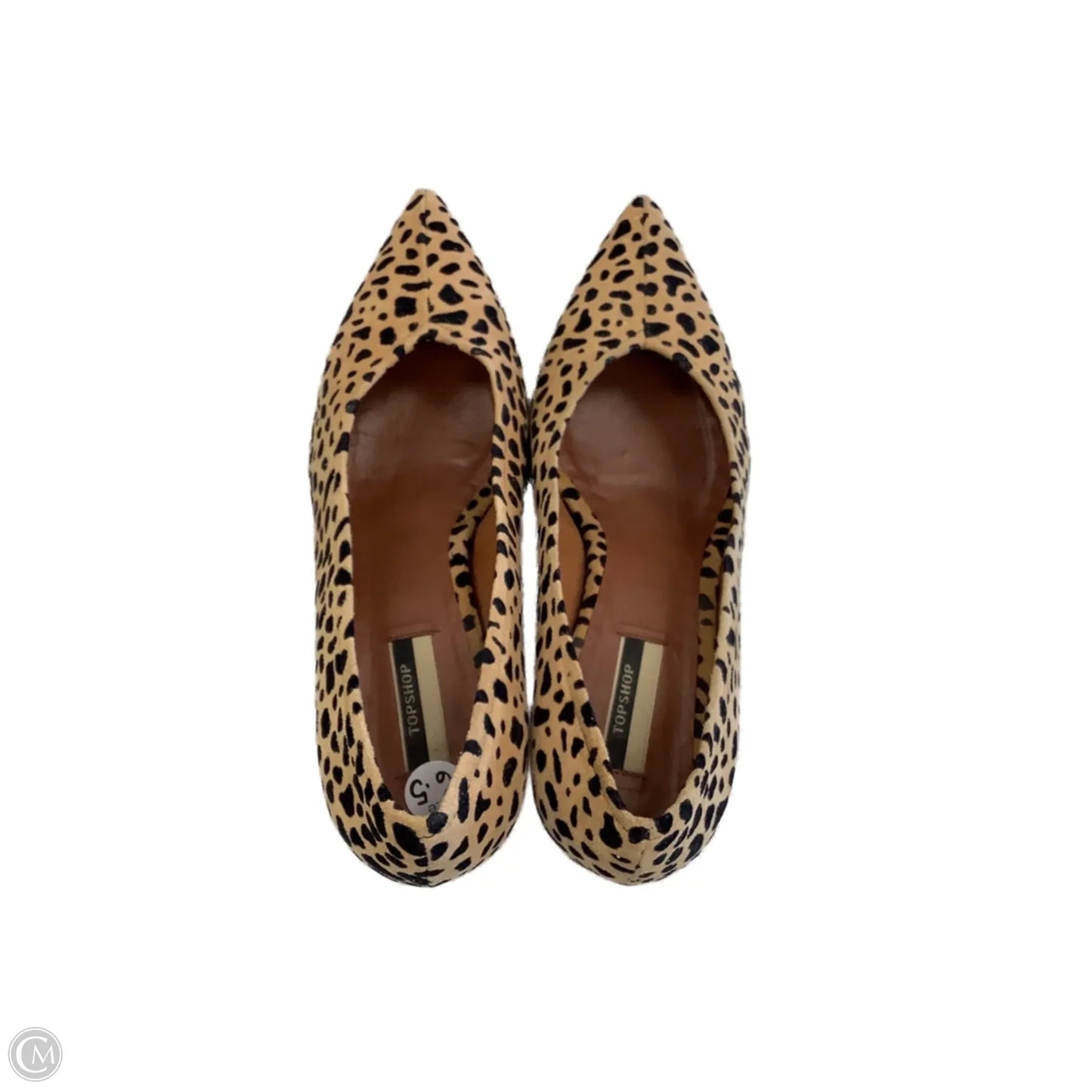 Shoes Heels Kitten By Top Shop In Animal Print, Size: 6.5