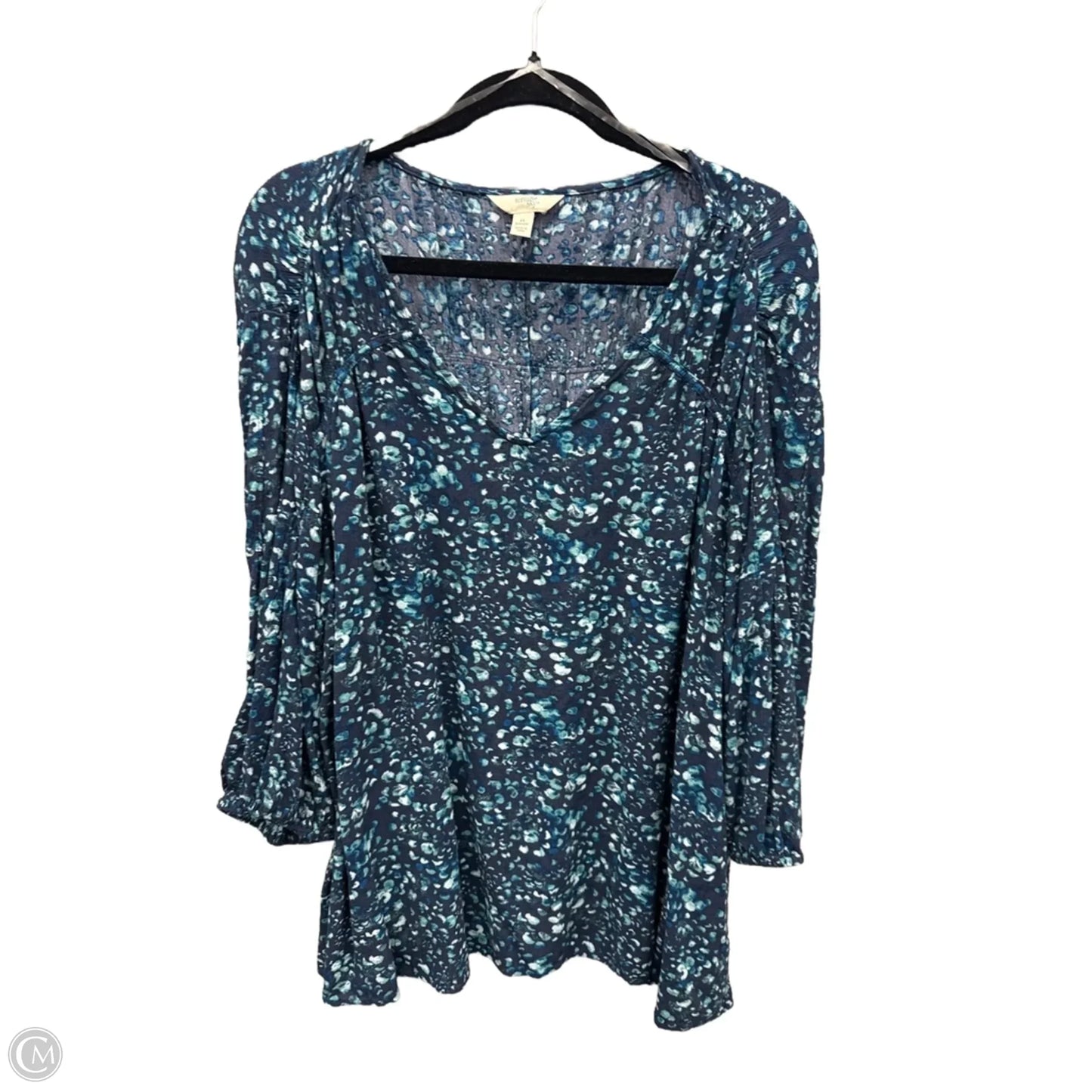 Blouse Long Sleeve By Terra & Sky In Blue, Size: 2x