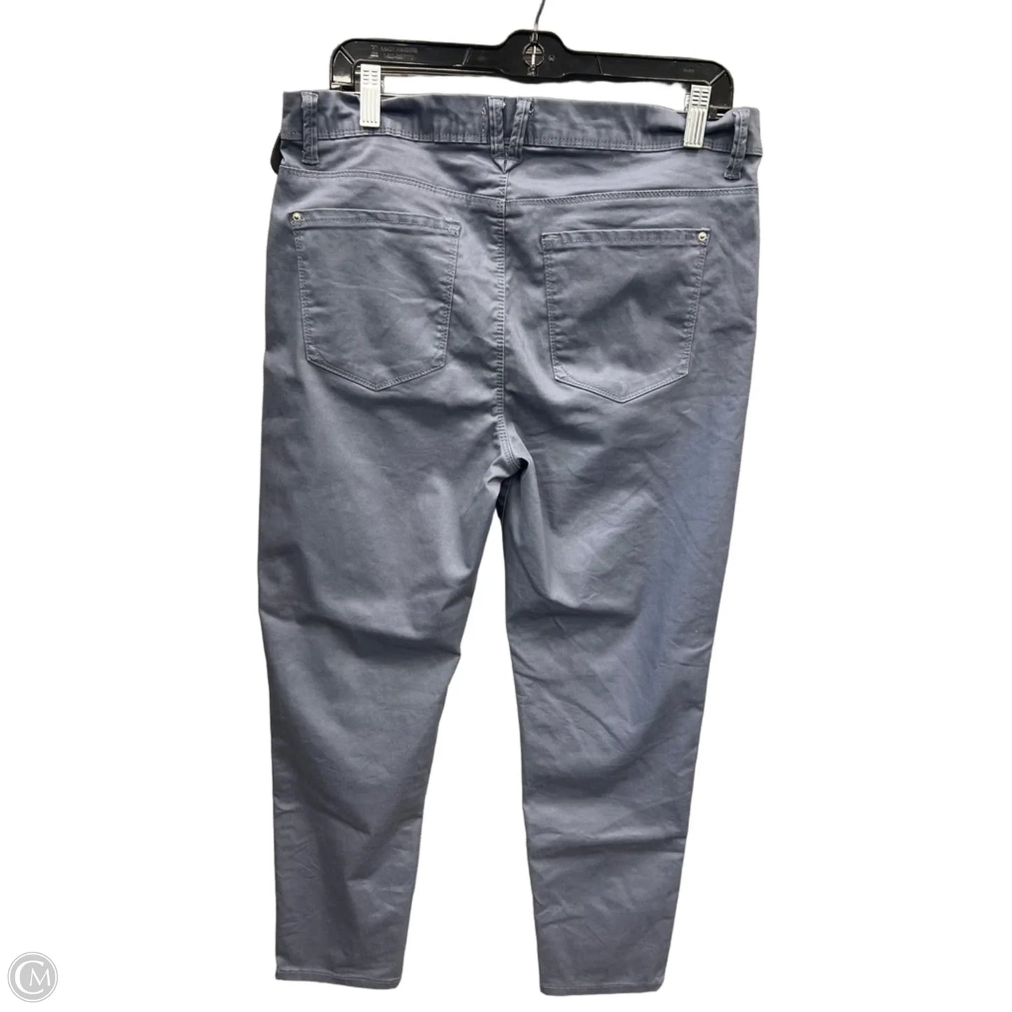 Jeans Jeggings By Curve Appeal In Blue, Size: 14
