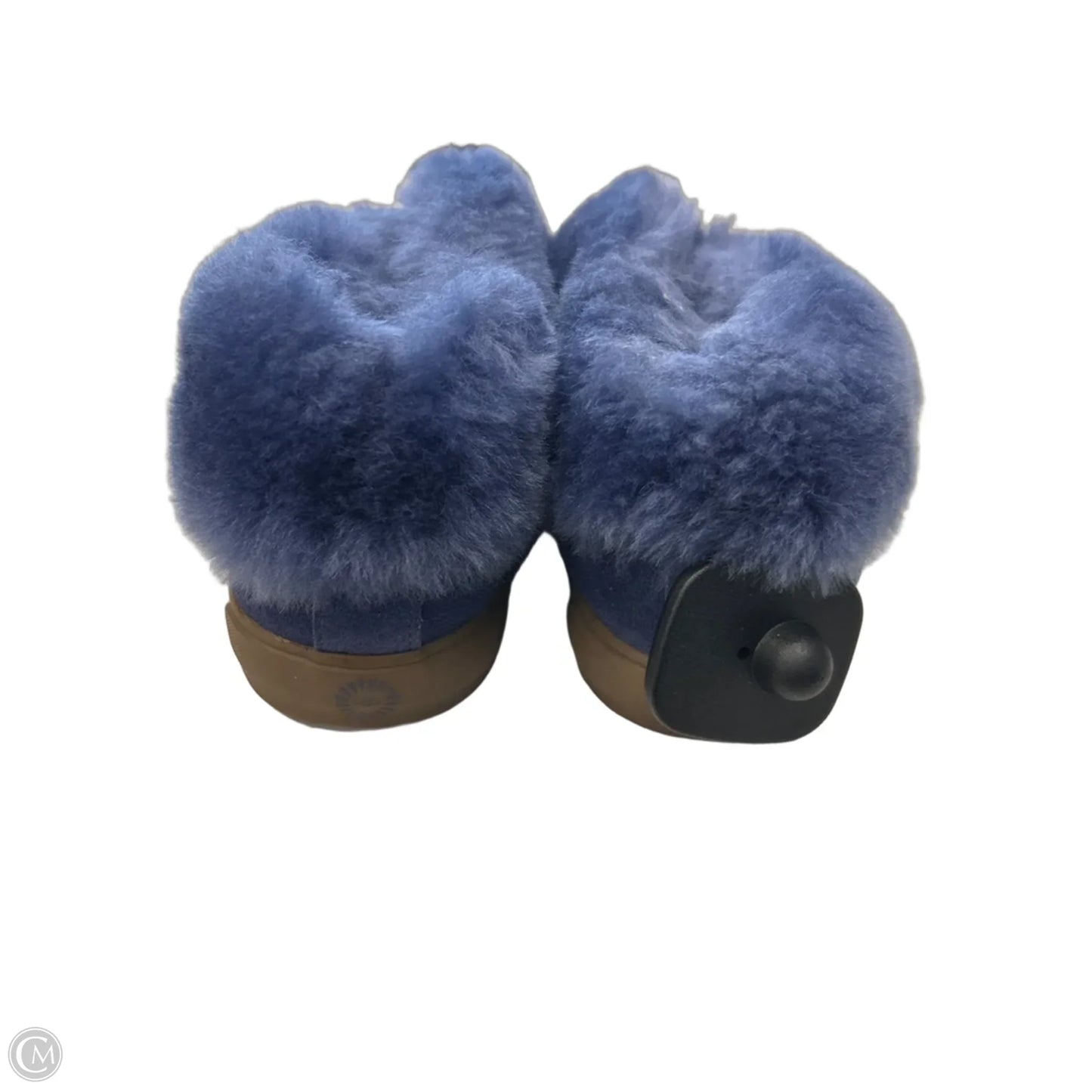 Shoes Designer By Ugg In Blue, Size: 6