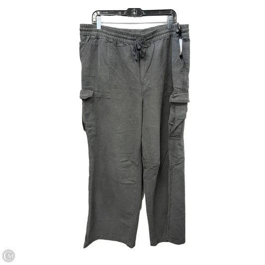 Pants Cargo & Utility By Aerie In Grey, Size: 18