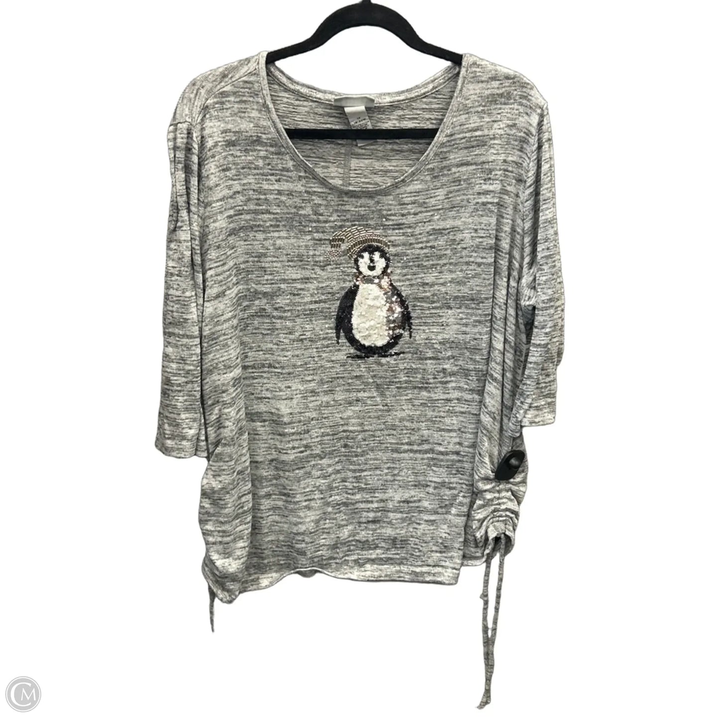 Top Long Sleeve By Catherines In Grey, Size: 1x