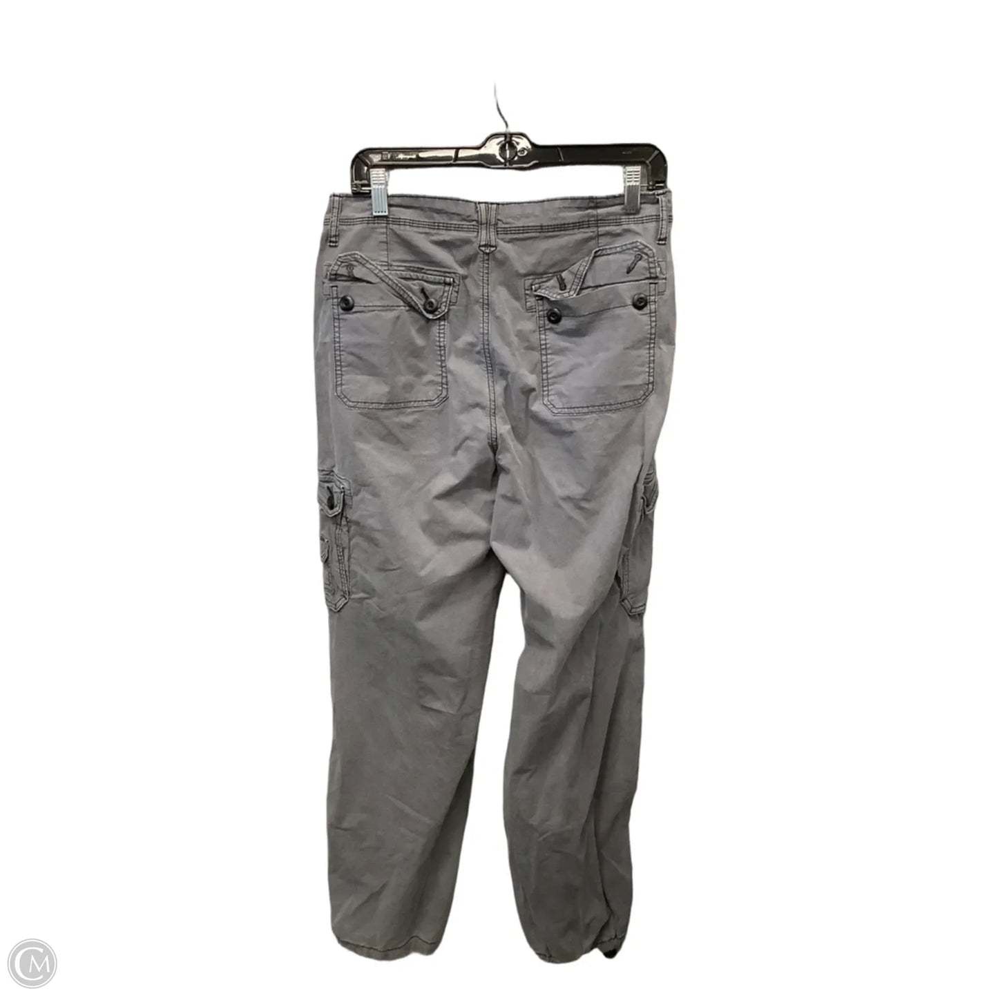 Pants Cargo & Utility By American Eagle In Grey, Size: 10