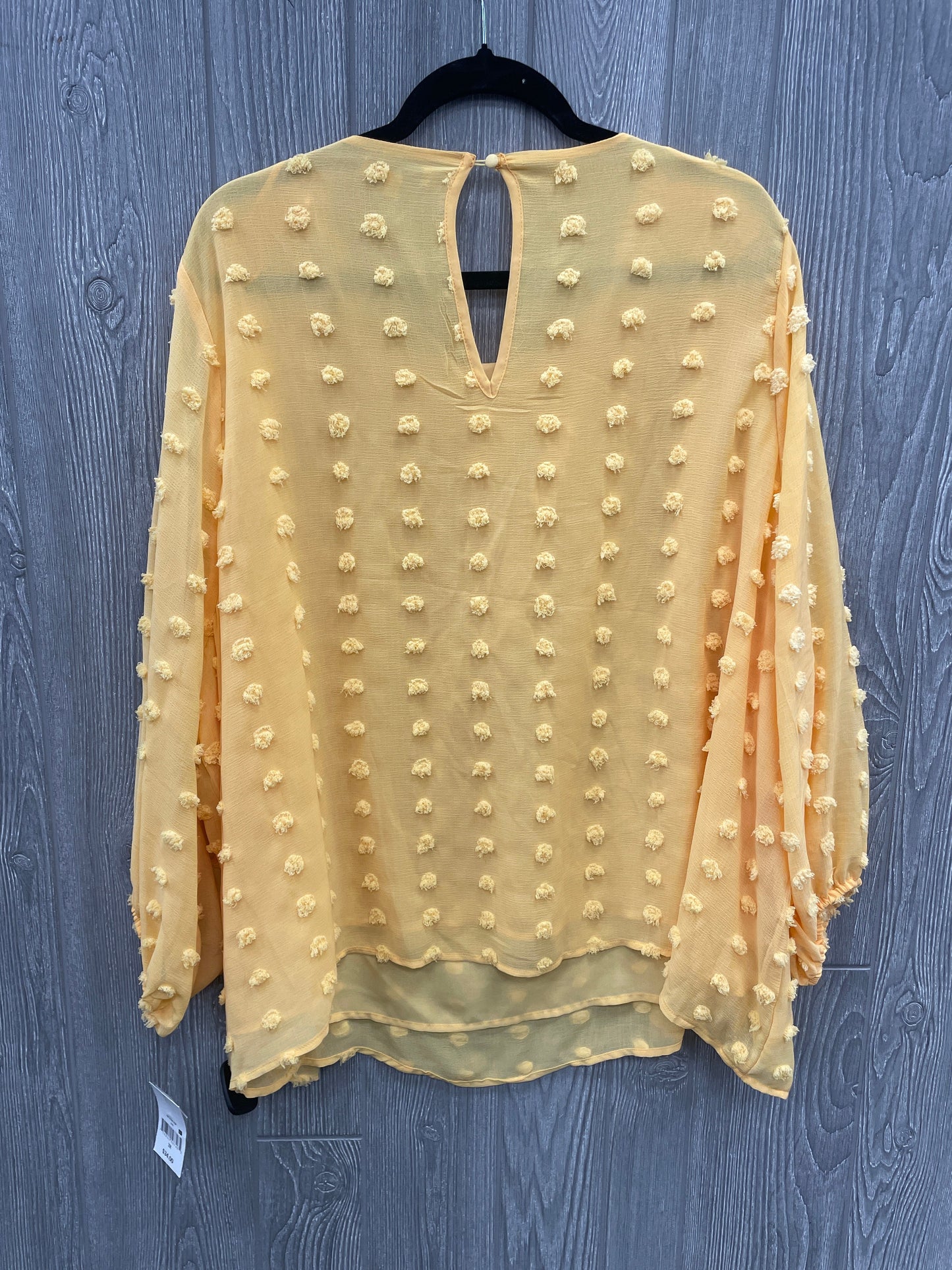 Blouse Long Sleeve By Ophelia Roe In Yellow, Size: 3x