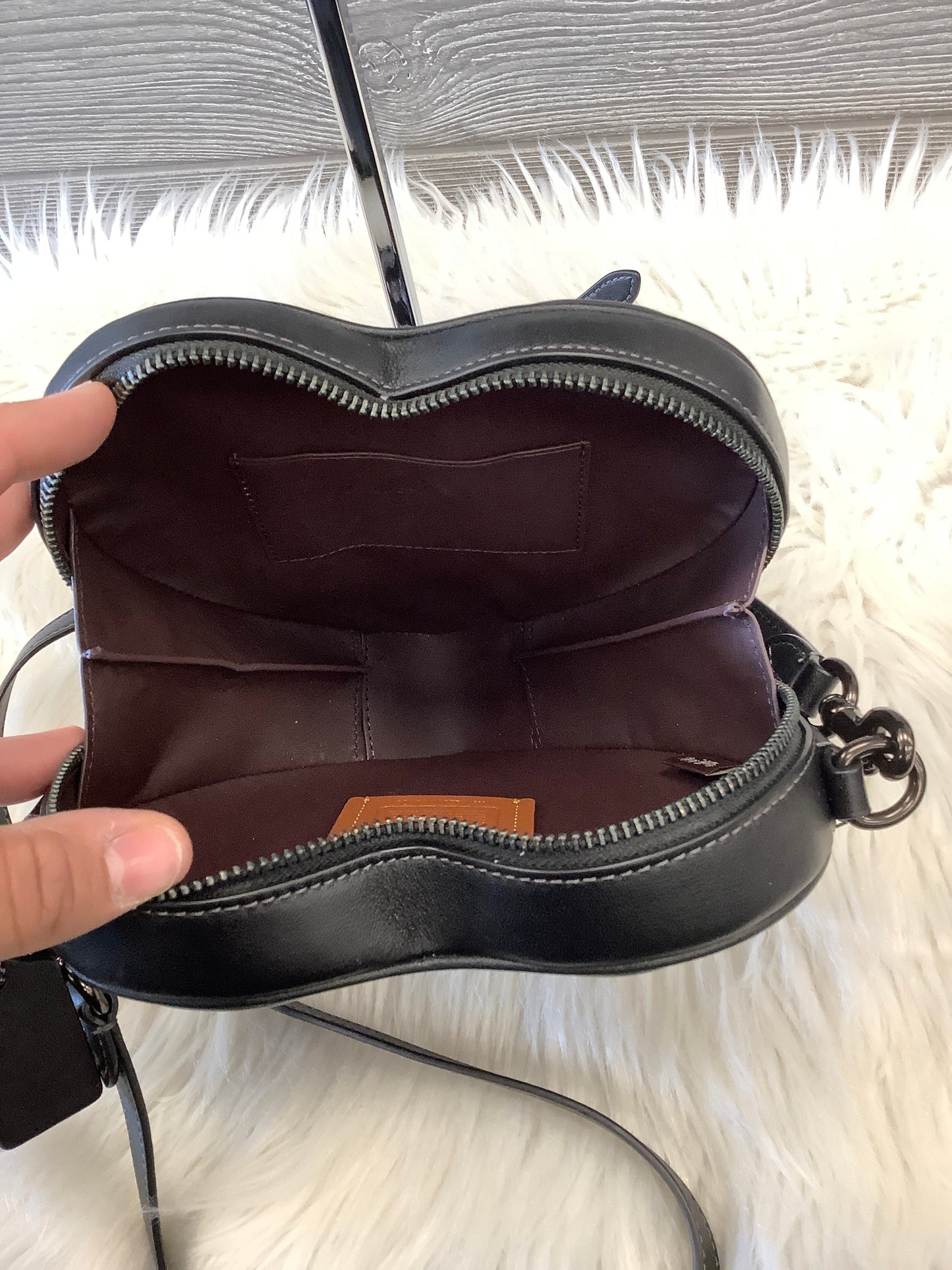 Black Crossbody Designer Coach, Size Small