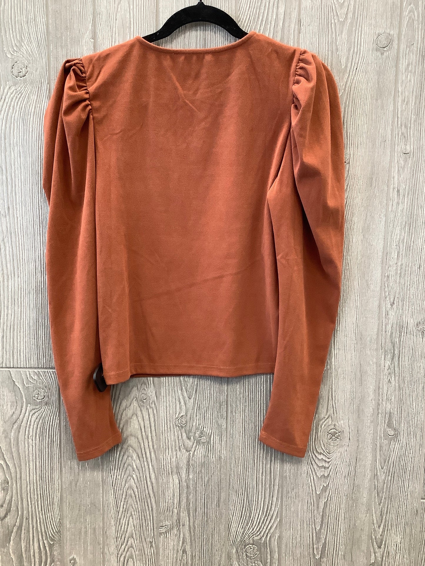 Brown Top Long Sleeve Clothes Mentor, Size S