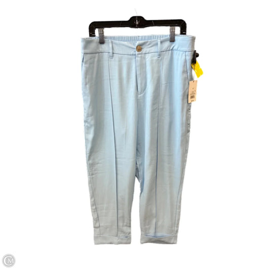 Pants Other By A New Day In Blue, Size: 14