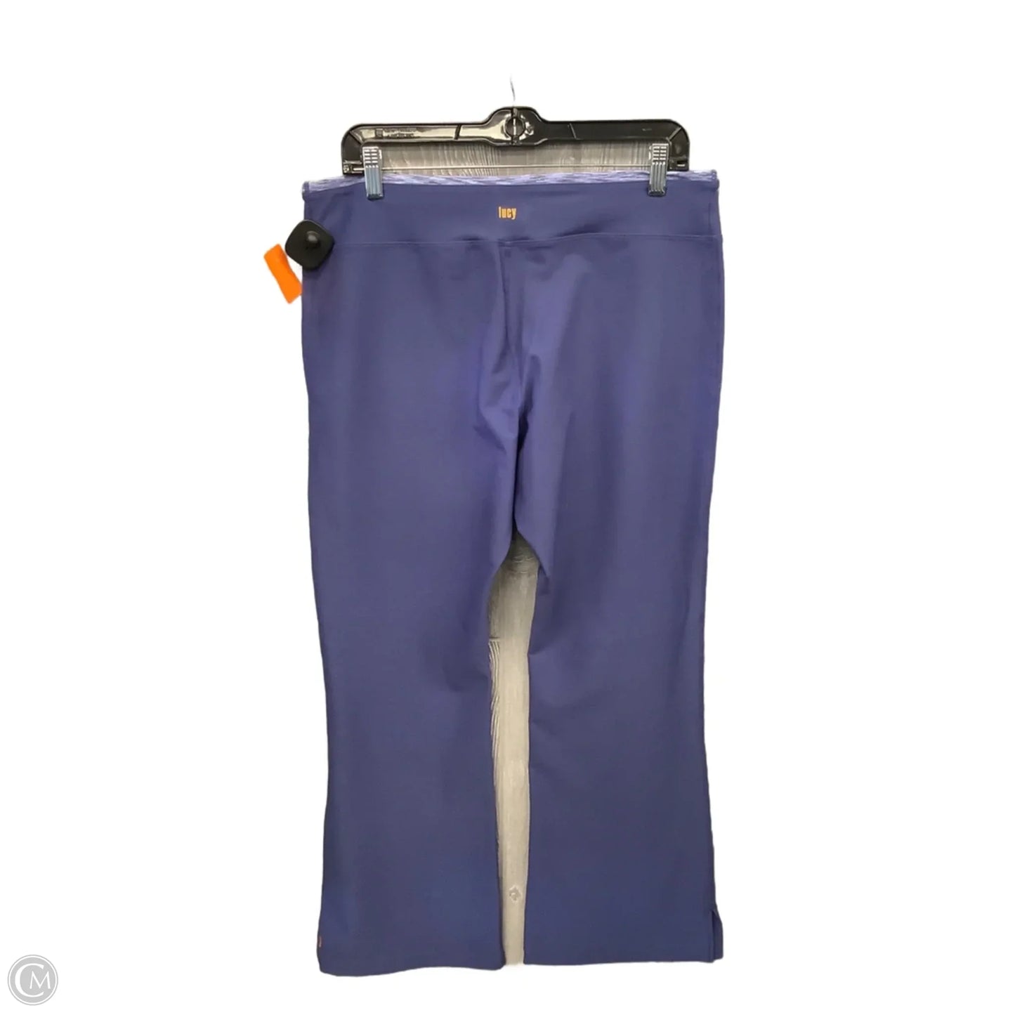 Athletic Leggings By Lucy In Blue, Size: L