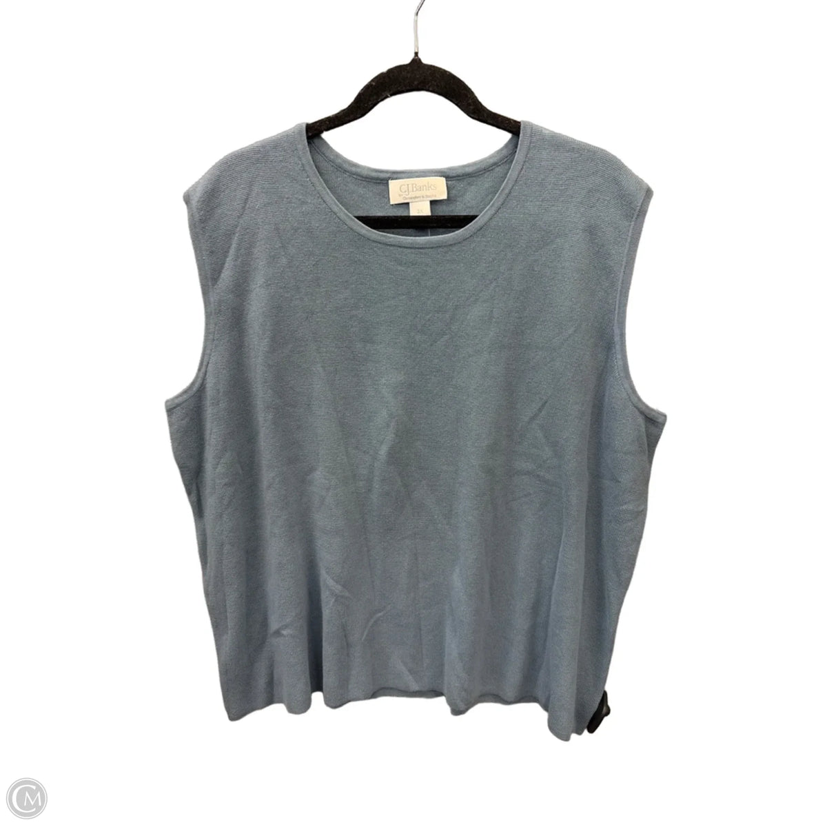 Top Sleeveless Basic By Cj Banks In Blue, Size: 3x