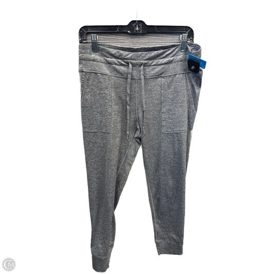 Athletic Pants By Aerie In Grey, Size: Xl
