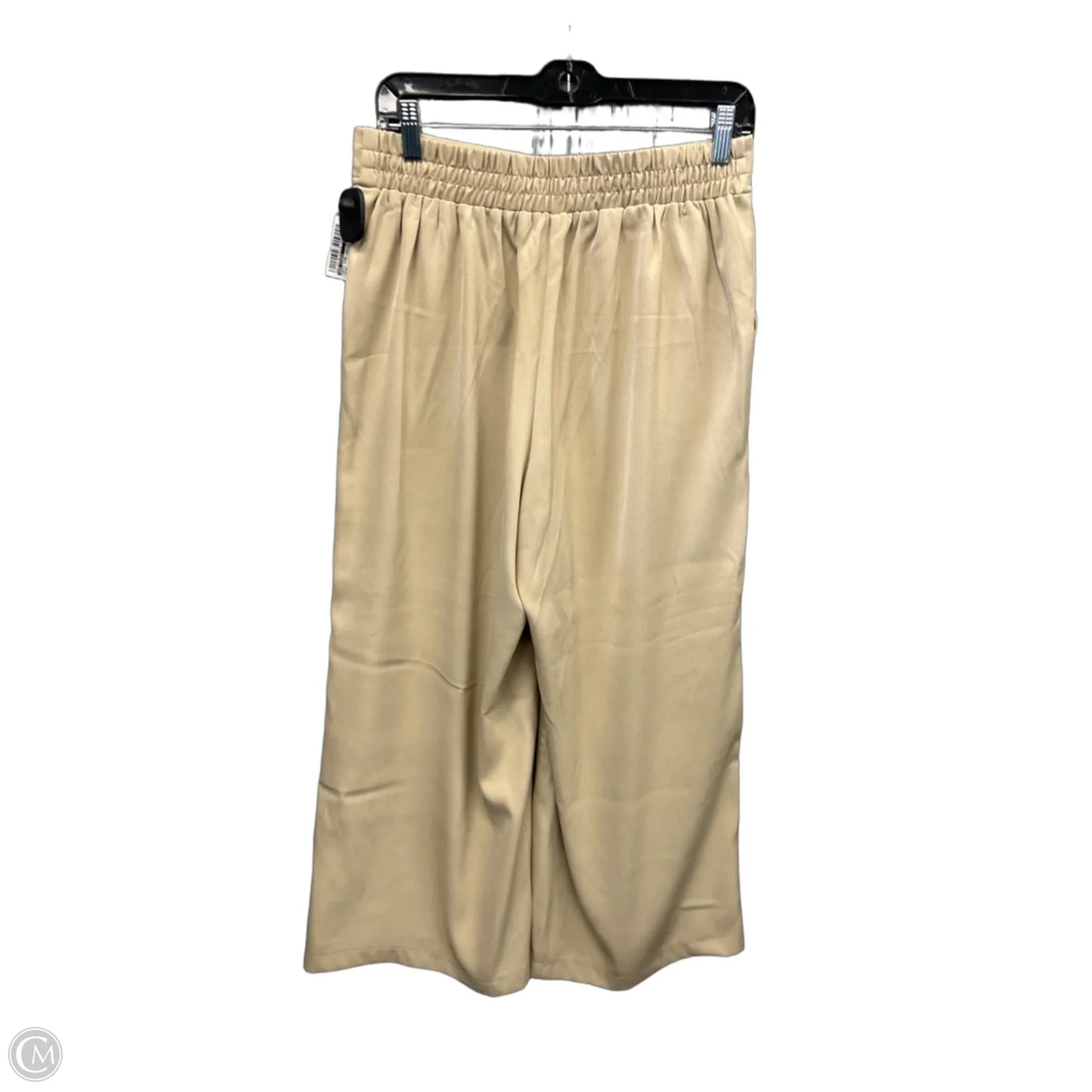 Pants Wide Leg By Max Studio In Brown, Size: 8
