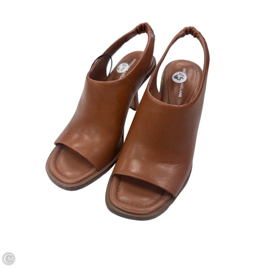 Shoes Heels Kitten By Antonio Melani In Brown, Size: 6
