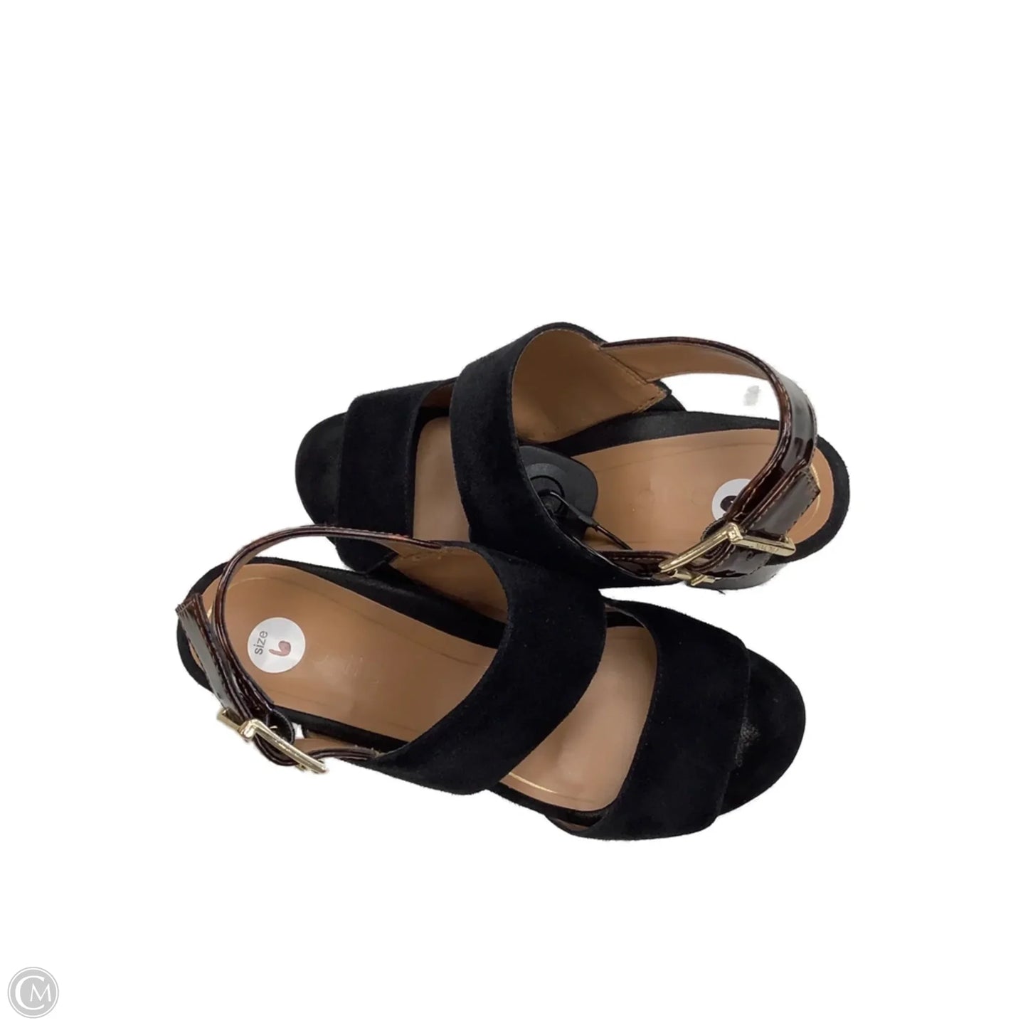 Shoes Heels Block By Vionic In Black, Size: 6