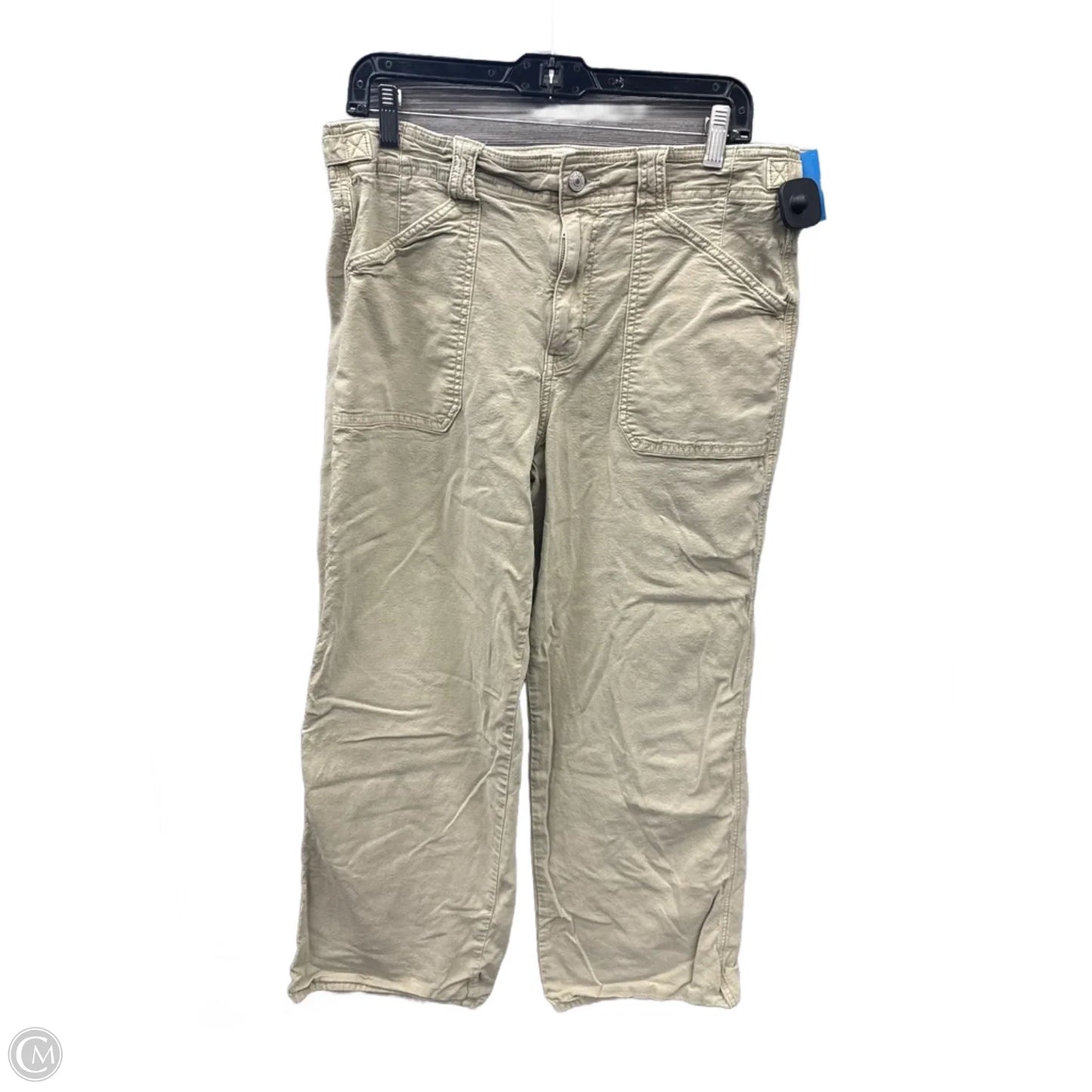 Pants Other By American Eagle In Green, Size: 12