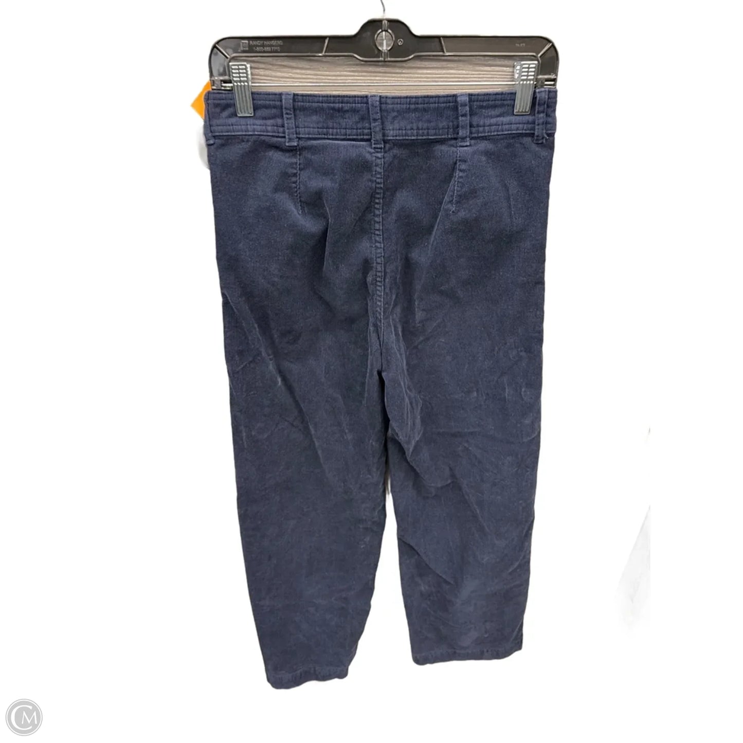 Pants Corduroy By Everlane In Blue, Size: 4