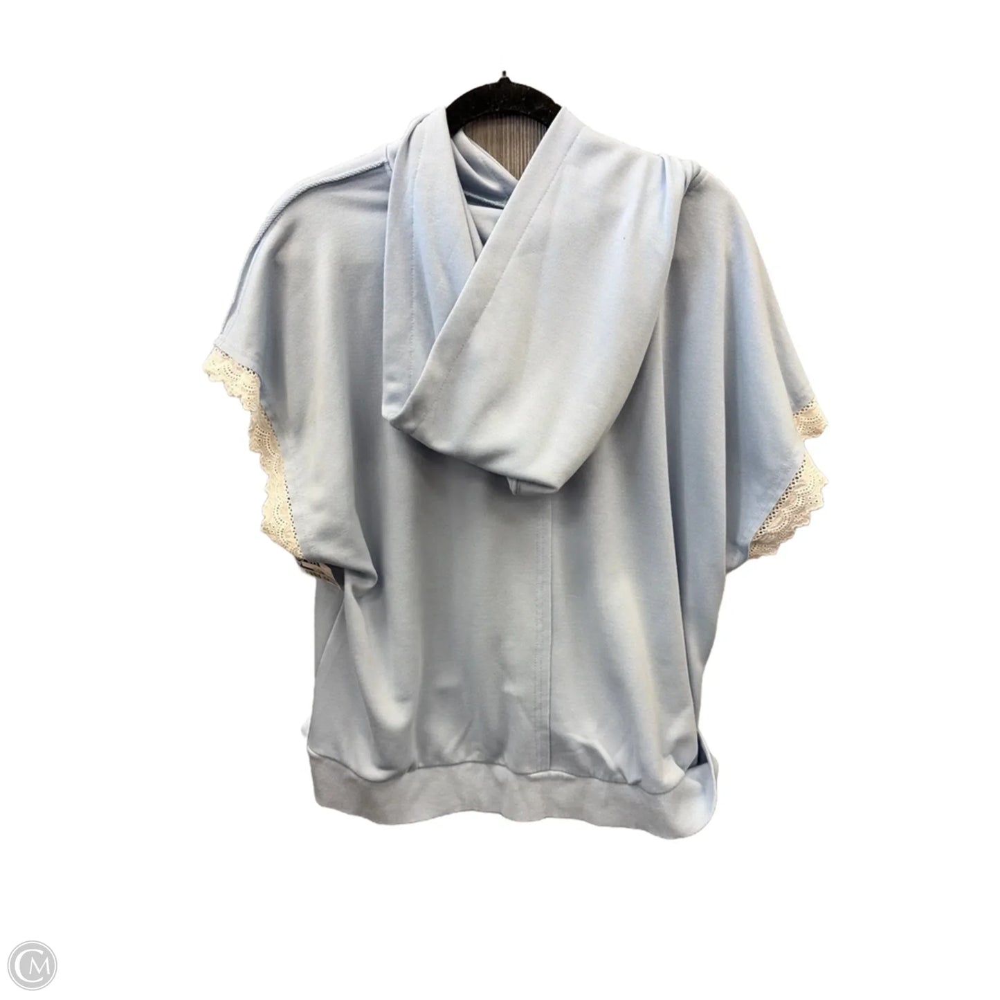 Sweatshirt Hoodie By Clothes Mentor In Blue, Size: L