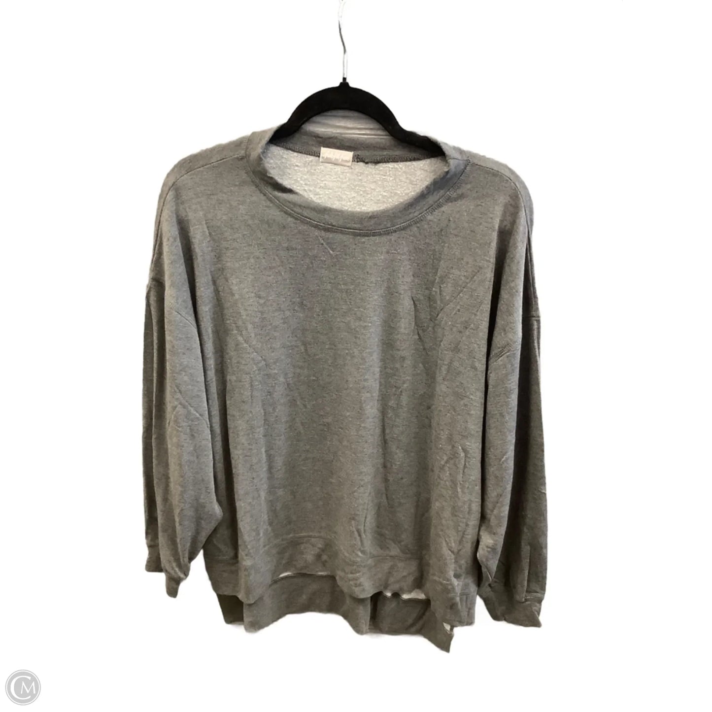 Top Long Sleeve By Clothes Mentor In Grey, Size: M