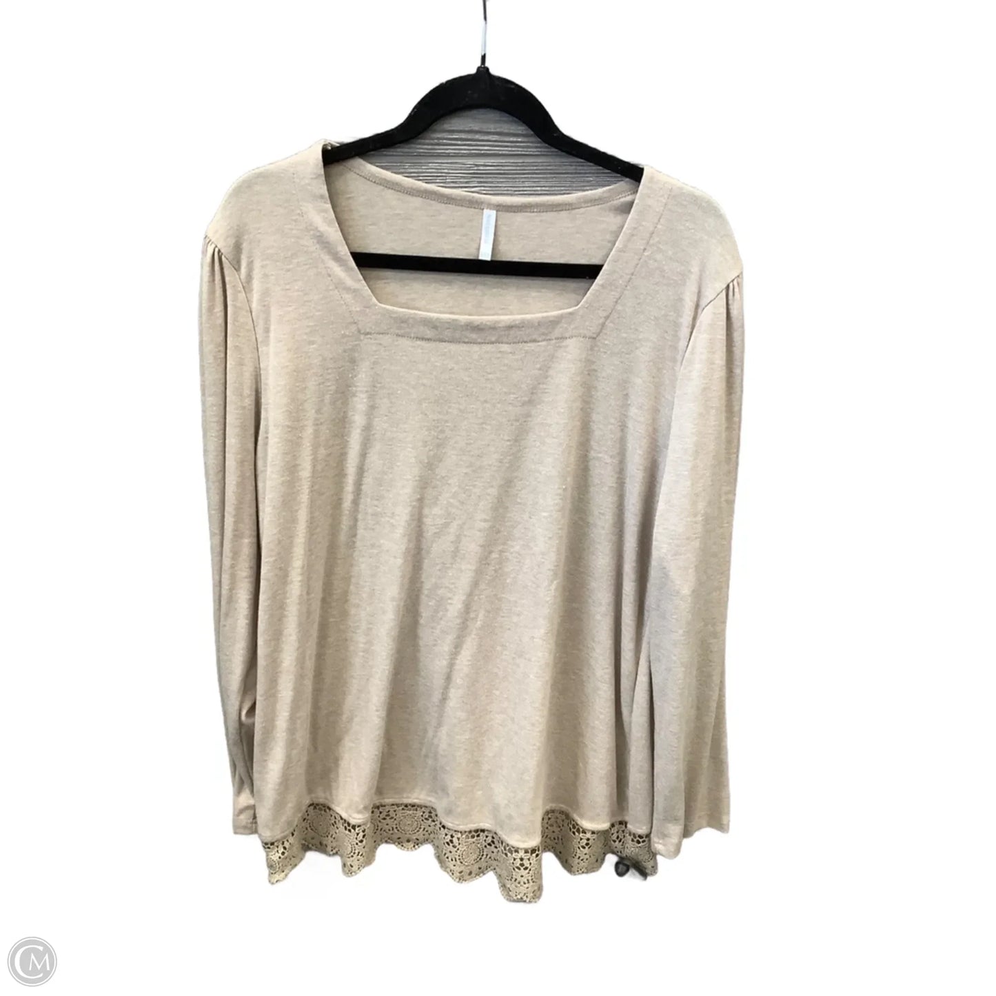 Top Long Sleeve By Clothes Mentor In Tan, Size: 2x