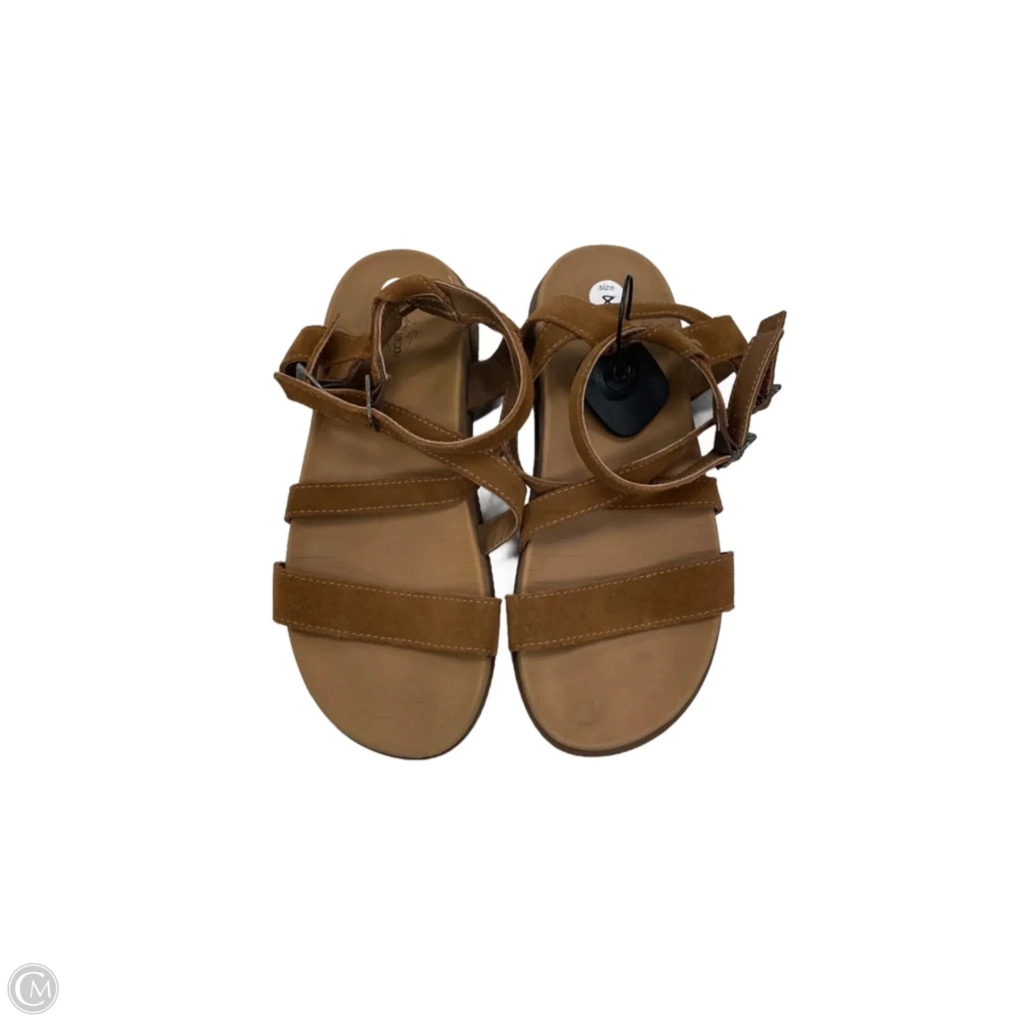 Sandals Flats By Chacos In Brown, Size: 8