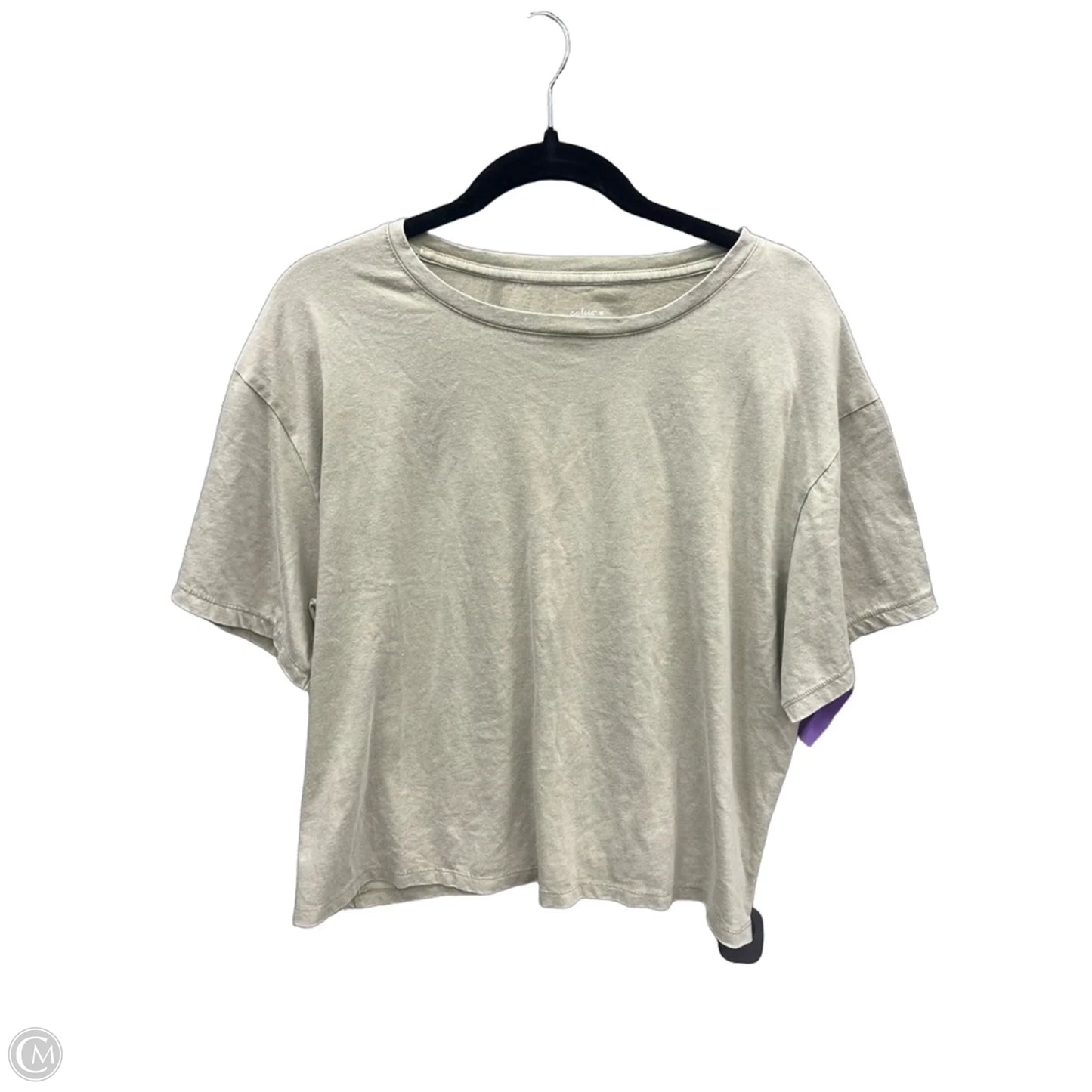 Top Short Sleeve Basic By Colsie In Green, Size: 1x