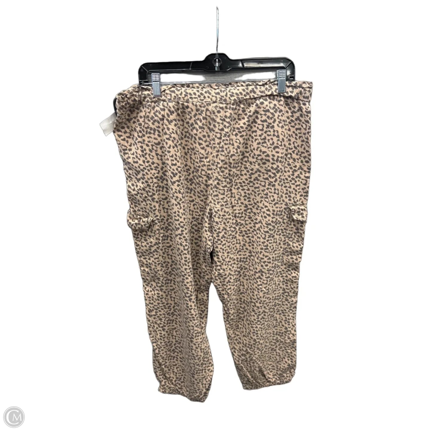 Pants Cargo & Utility By Aerie In Animal Print, Size: 12