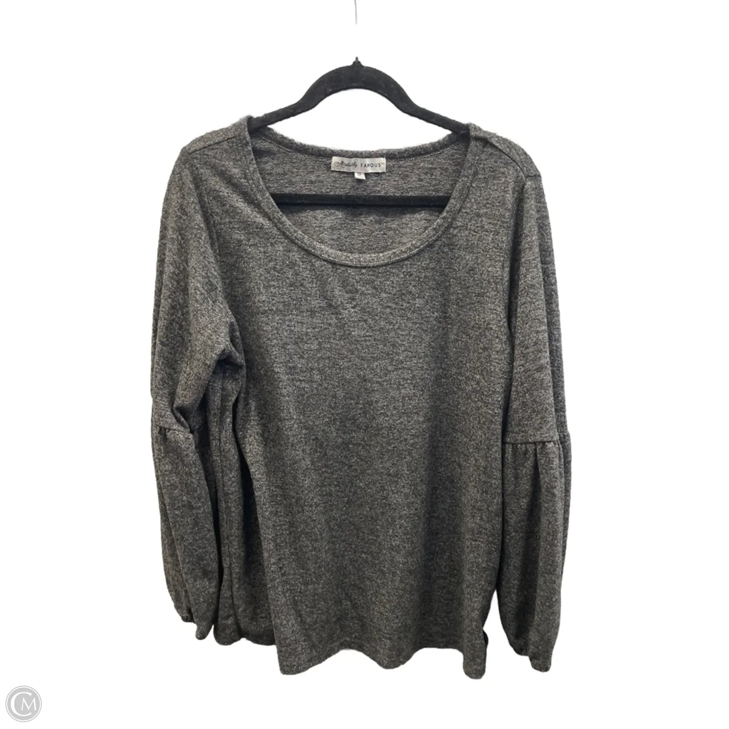Top Long Sleeve By Absolutely Famous In Grey, Size: 1x