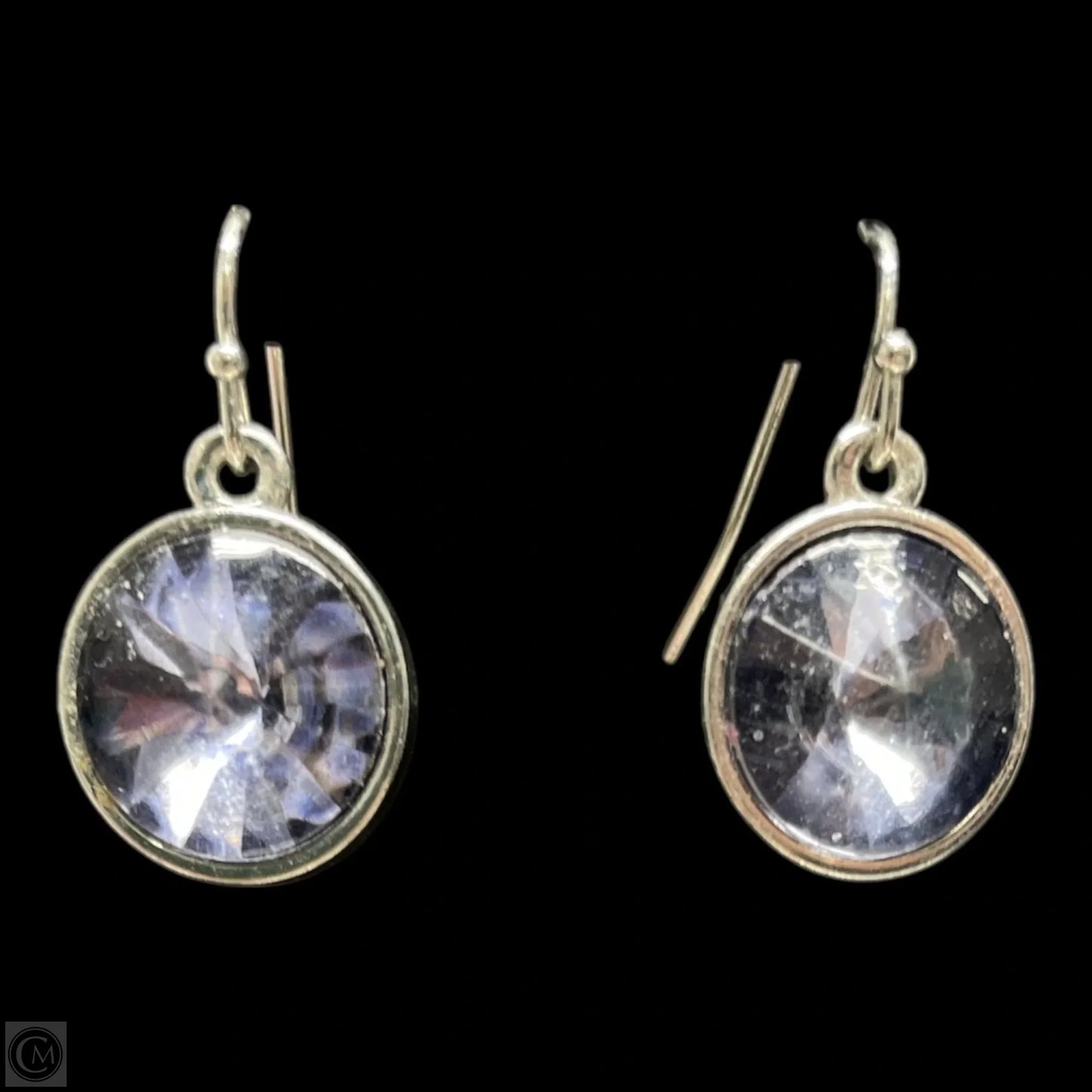 Earrings Dangle/drop By Clothes Mentor