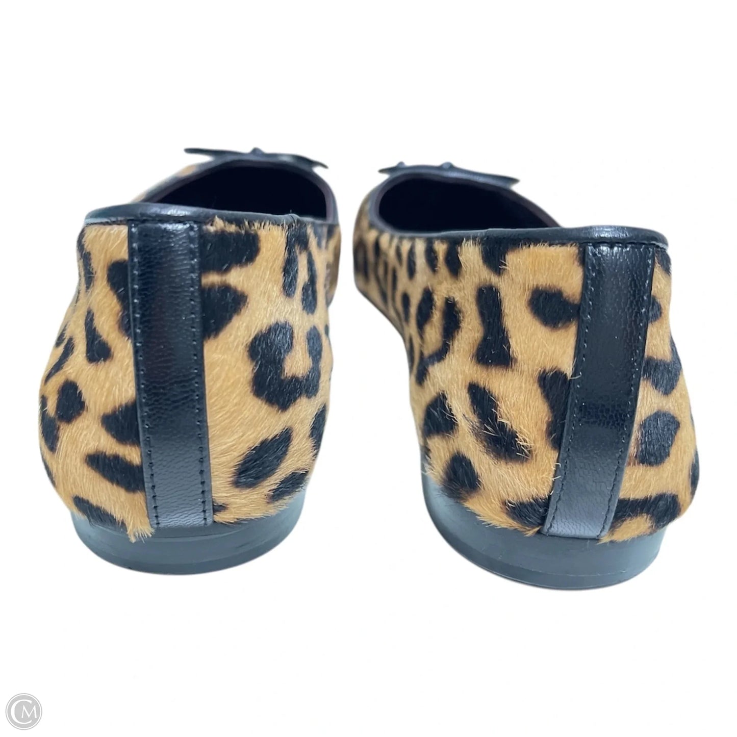 Shoes Designer By Tory Burch In Animal Print, Size: 8.5