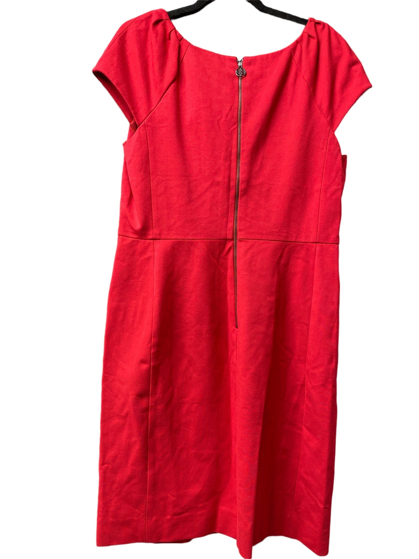 Dress Casual Short By Antonio Melani  Size: Xl