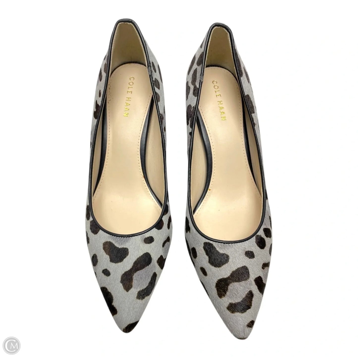 Shoes Heels Stiletto By Cole-haan In Animal Print, Size: 6
